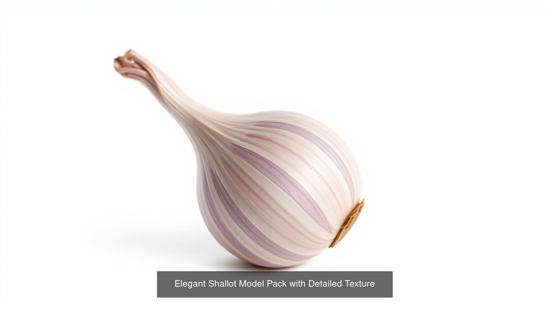 Realistic Vegetable Models Pack 3D Model Collection_1