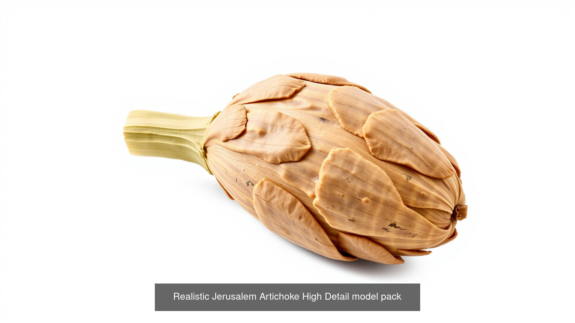 Realistic Vegetable Models Pack 3D Model Collection_2