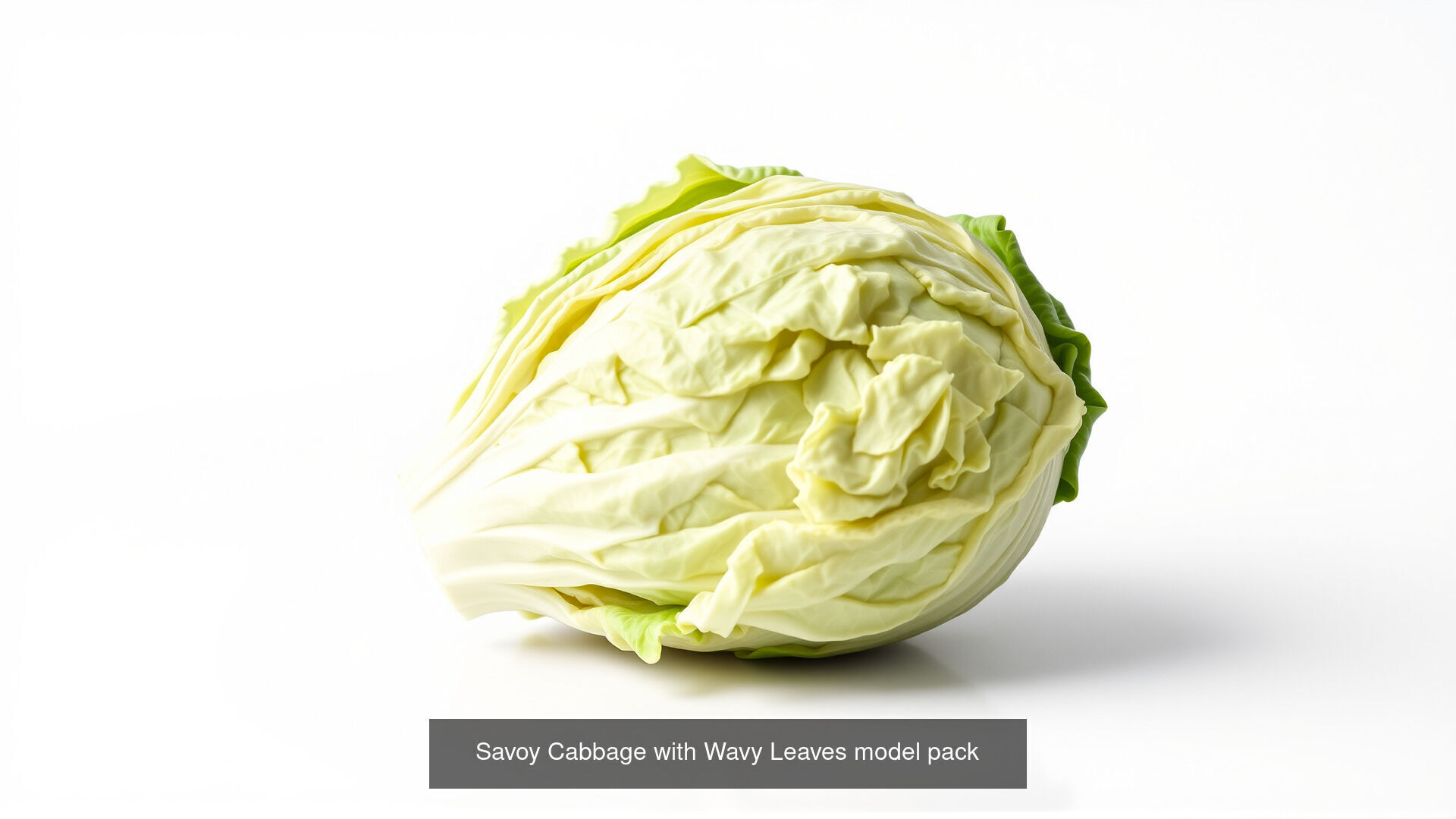 Realistic Vegetable Models Pack 3D Model Collection_8