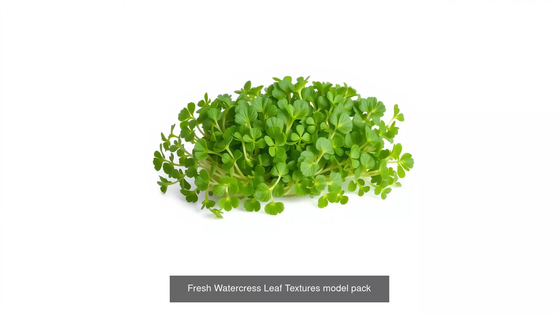 Realistic Vegetable Models Pack 3D Model Collection_0