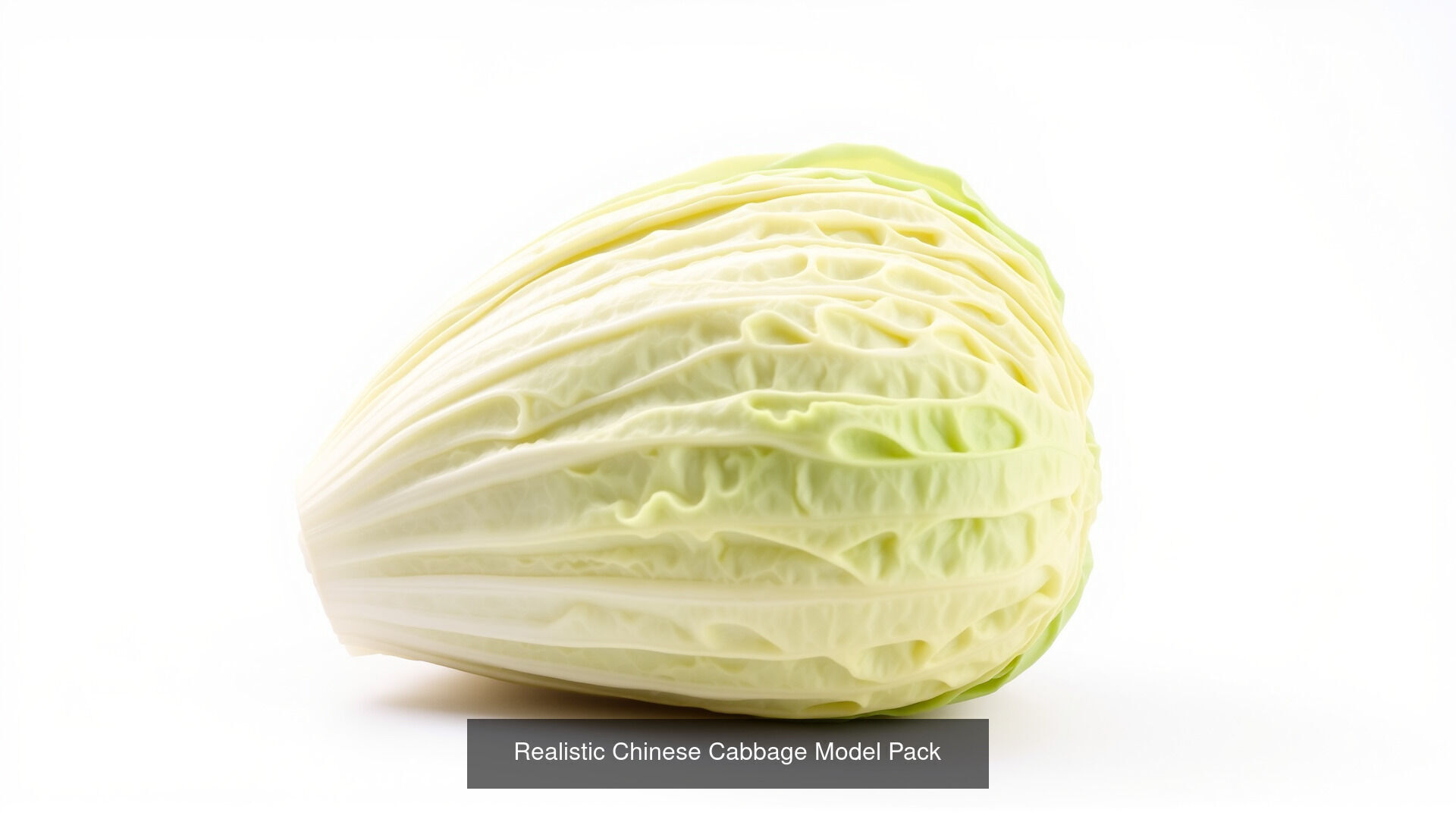 Realistic Vegetable Models Pack 3D Model Collection_7