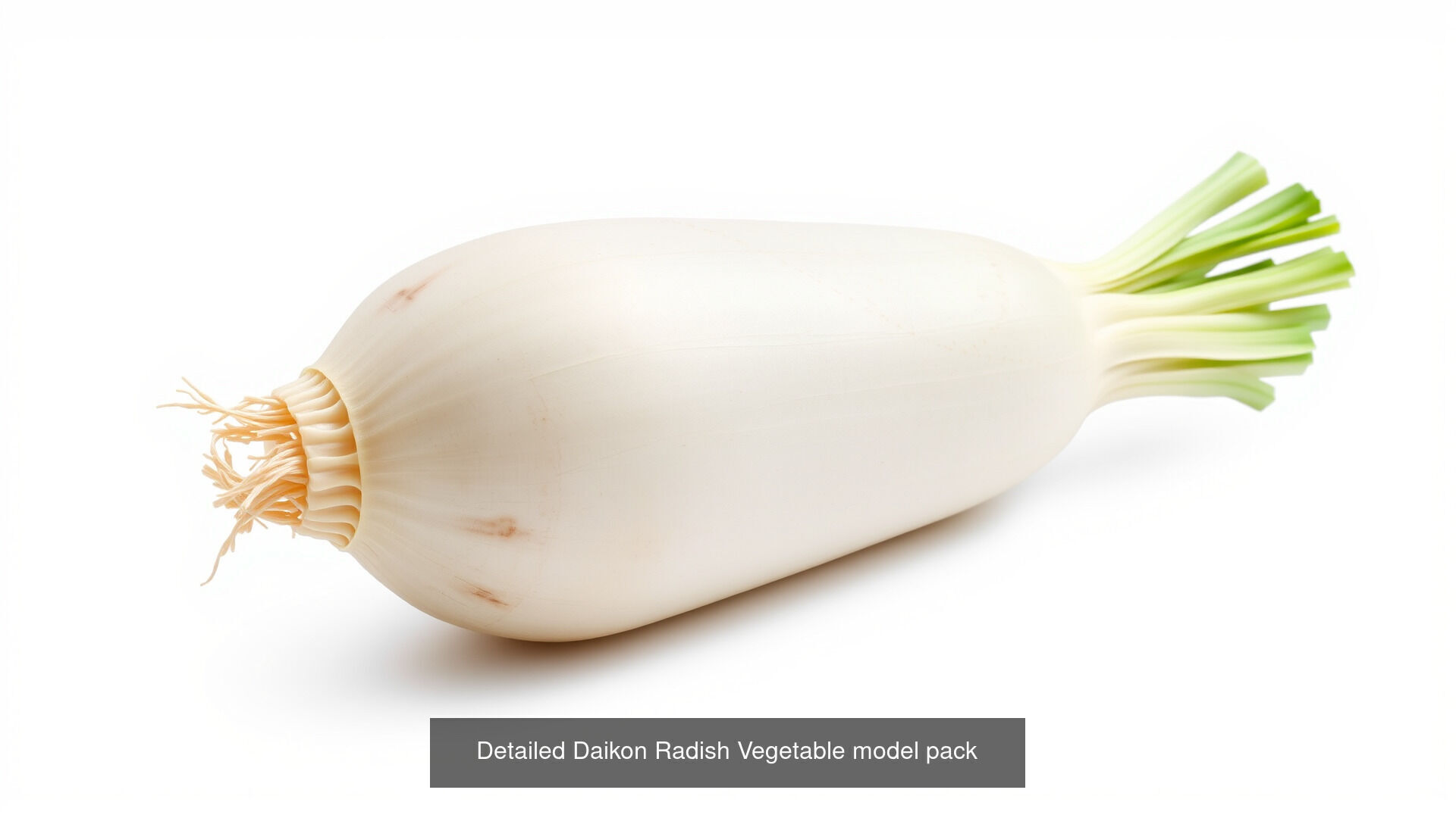 Realistic Vegetable Models Pack 3D Model Collection_5