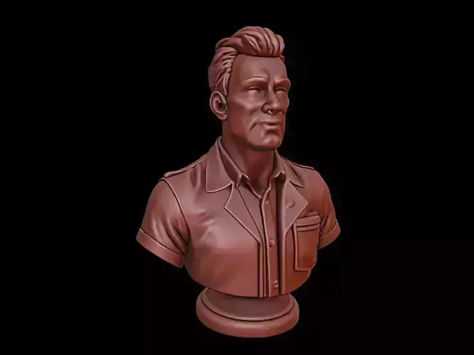 Software Engineer Bust