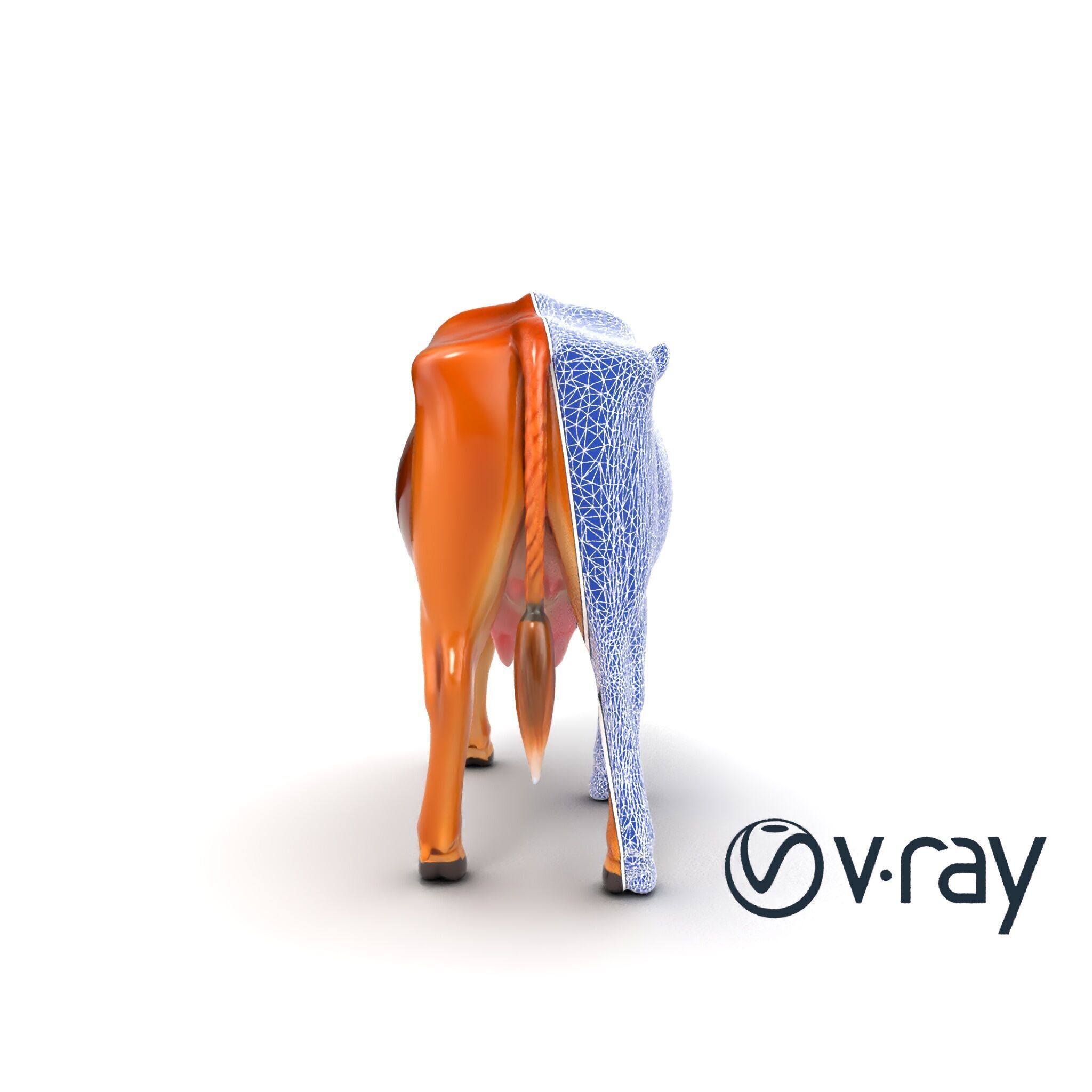 Realistic Brown Cow 3D Model Pack Low-poly 3D model_16