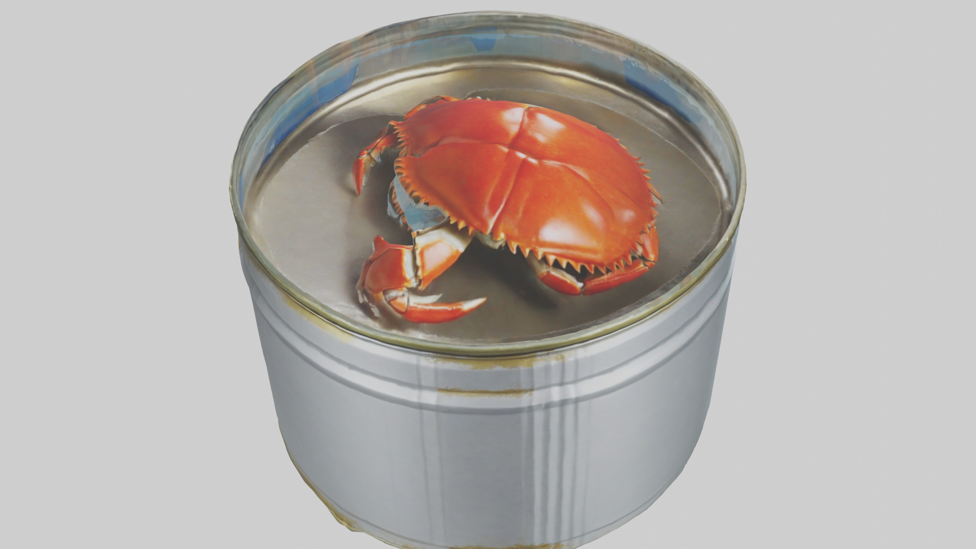 Canned Crab model Low-poly 3D model_15