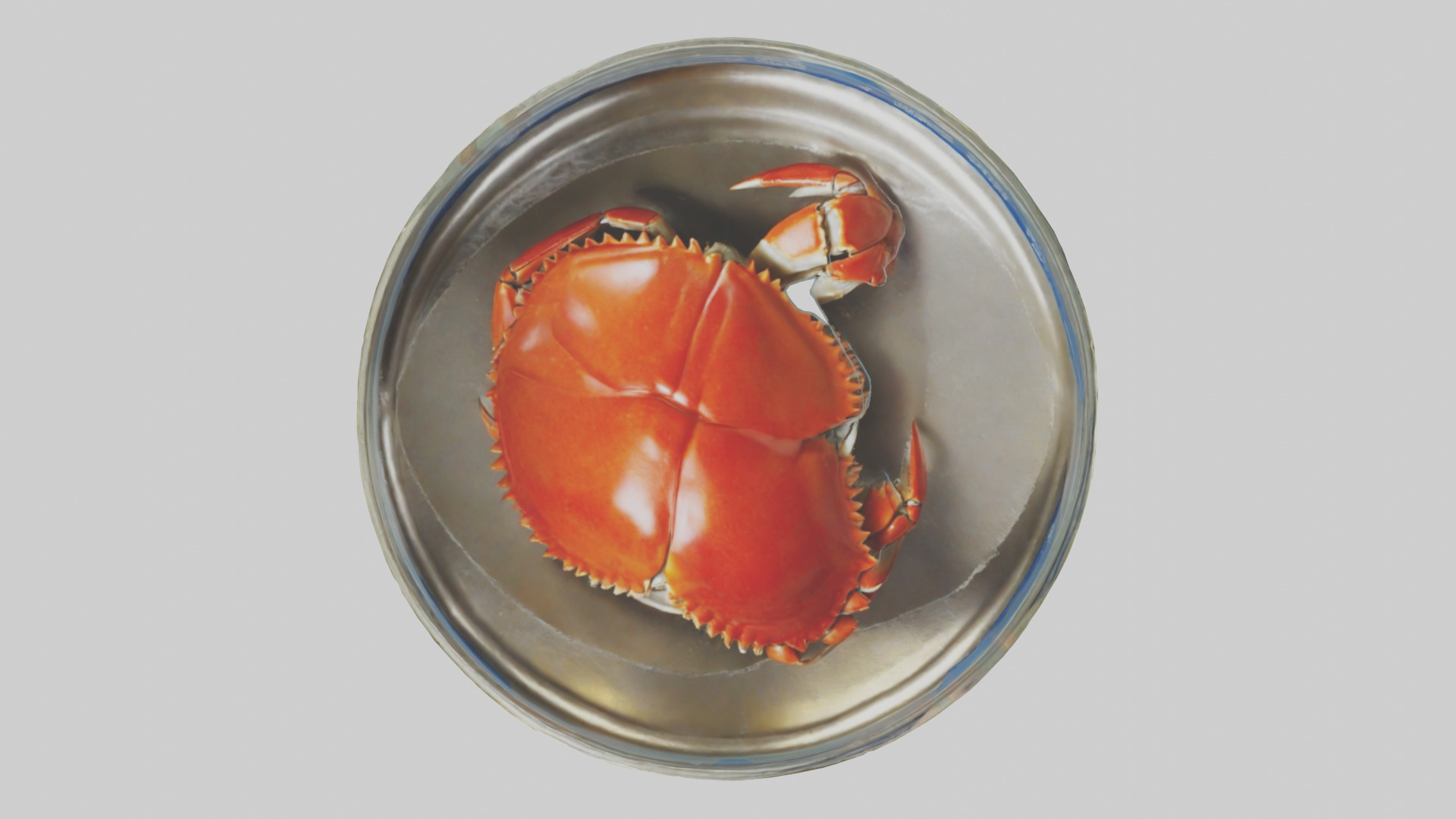 Canned Crab model Low-poly 3D model_14