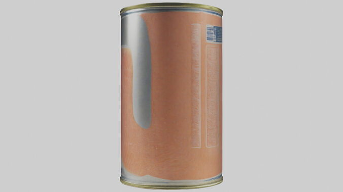 Canned Salmon model Low-poly 3D model 2