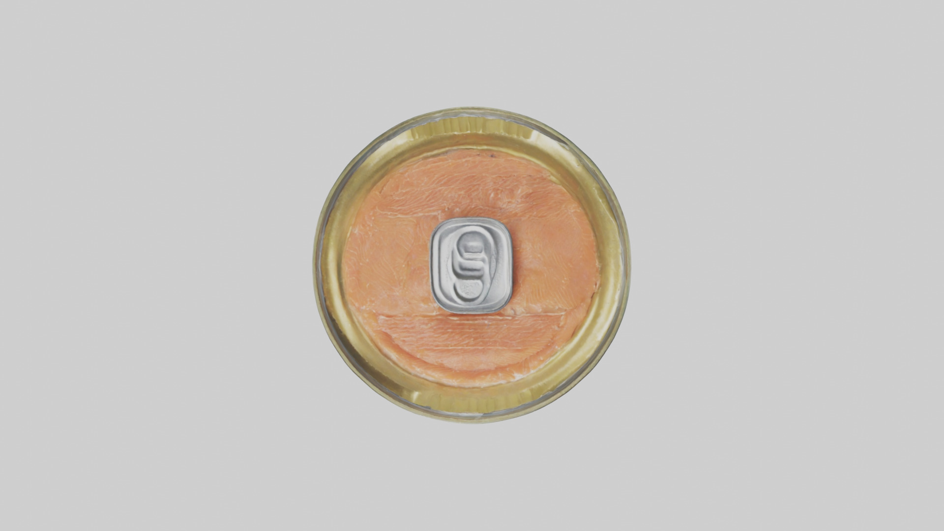 Canned Salmon model Low-poly 3D model_24