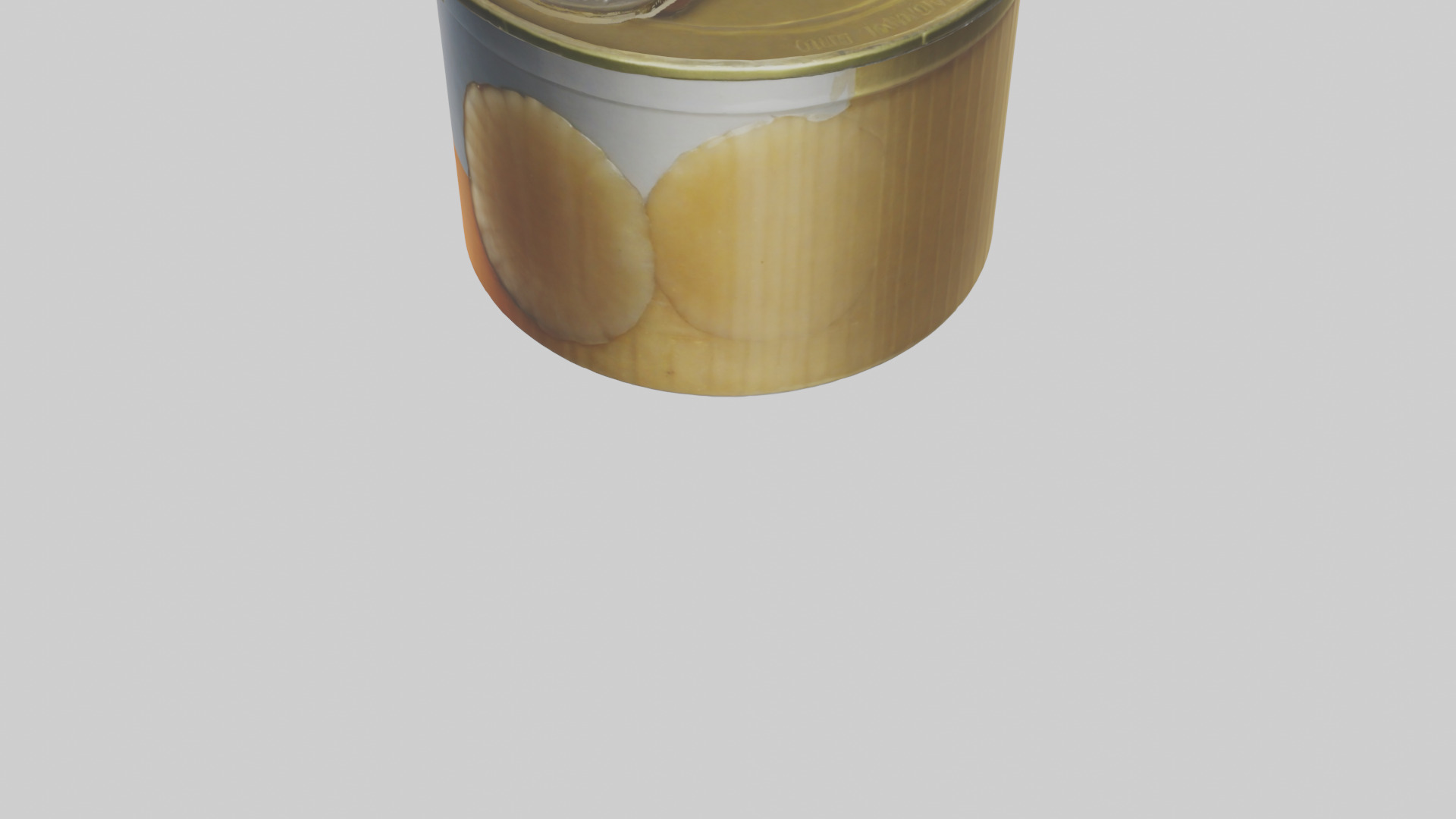 Canned Salmon model Low-poly 3D model_51