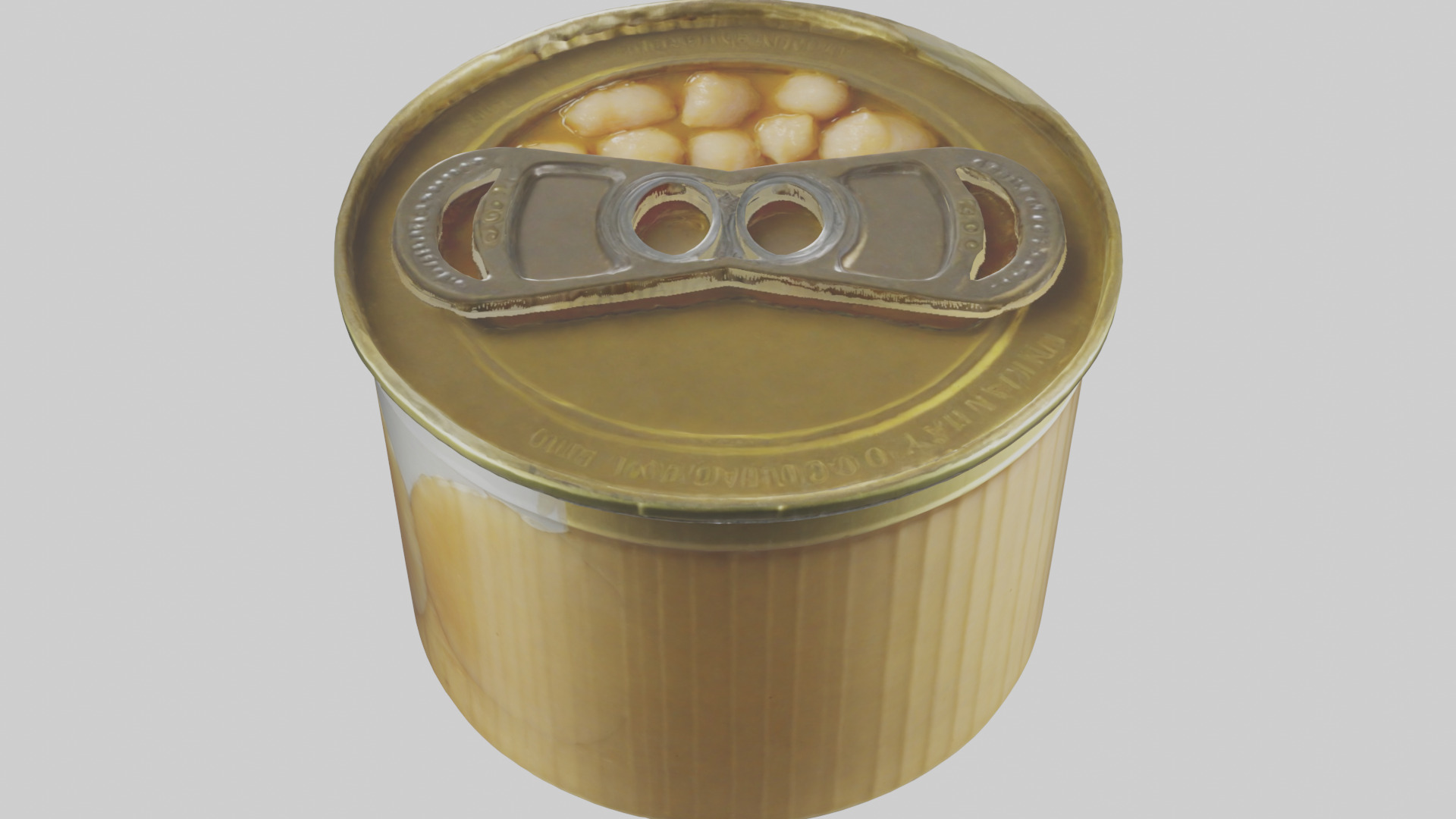 Canned Salmon model Low-poly 3D model_63