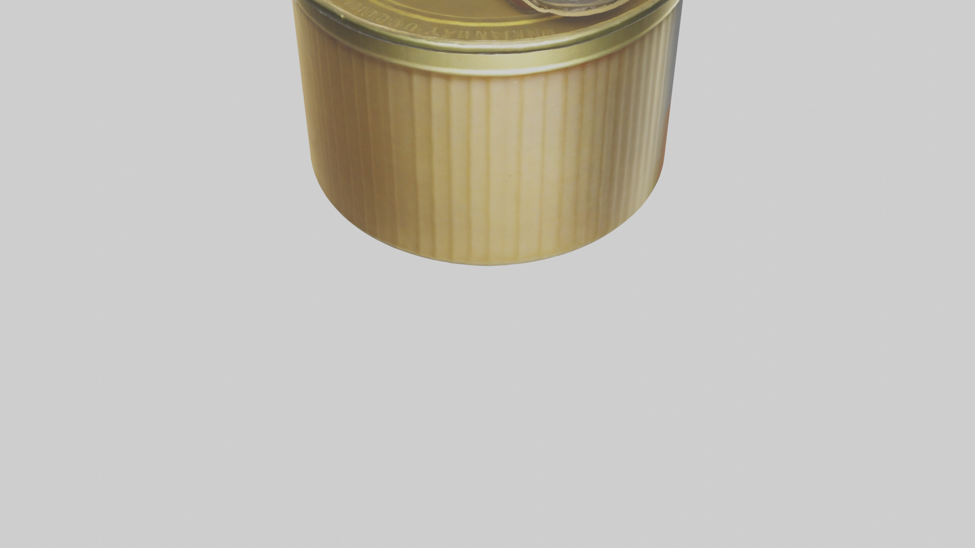 Canned Salmon model Low-poly 3D model_52