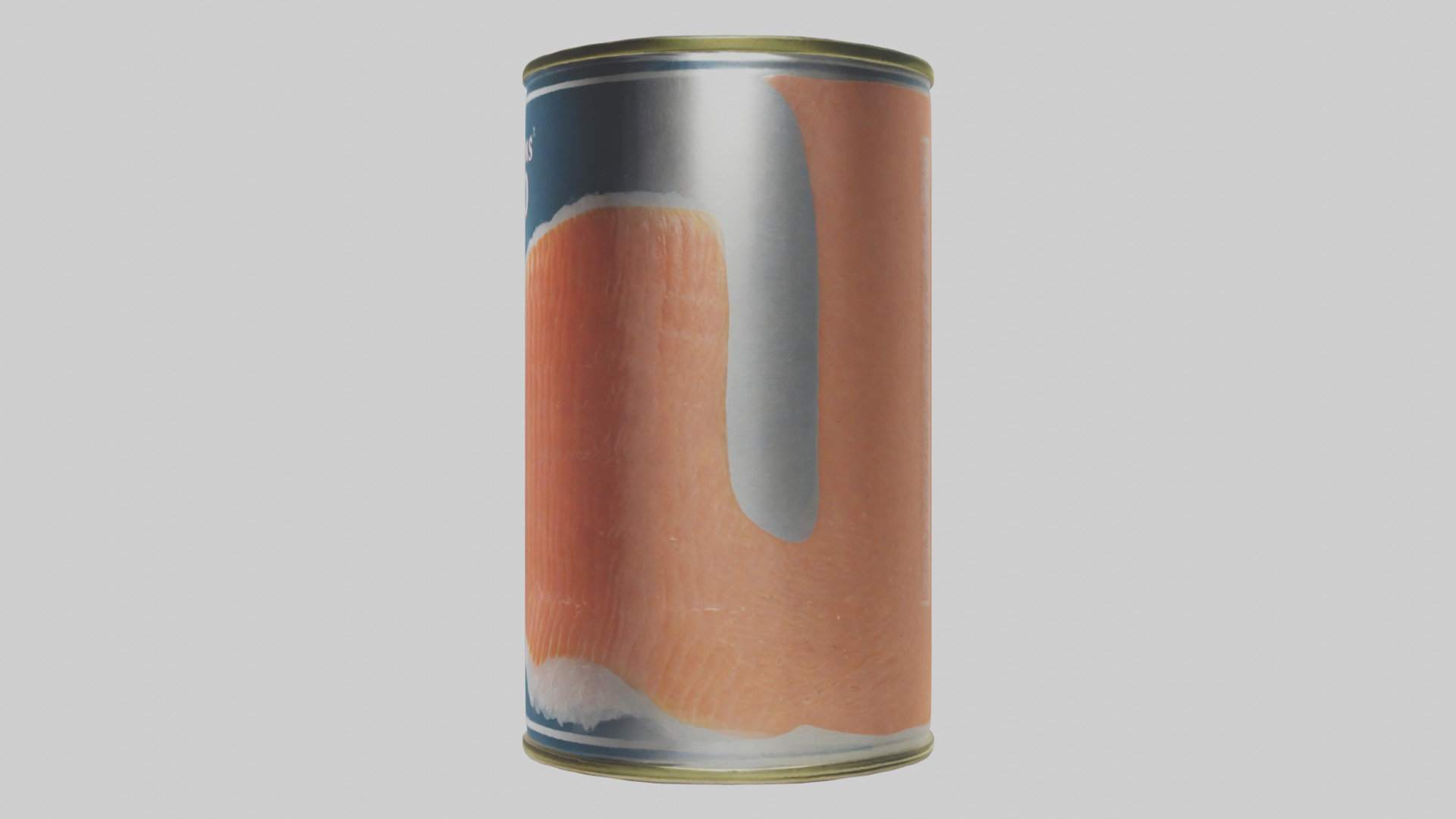 Canned Salmon model Low-poly 3D model_22