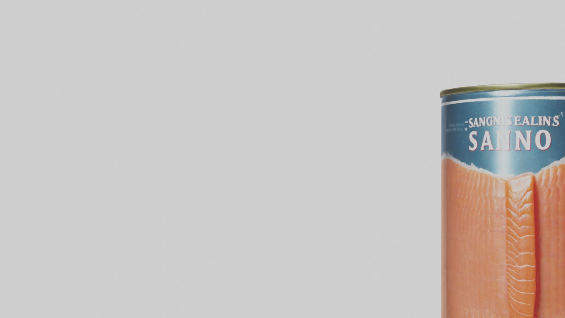 Canned Salmon model Low-poly 3D model_21