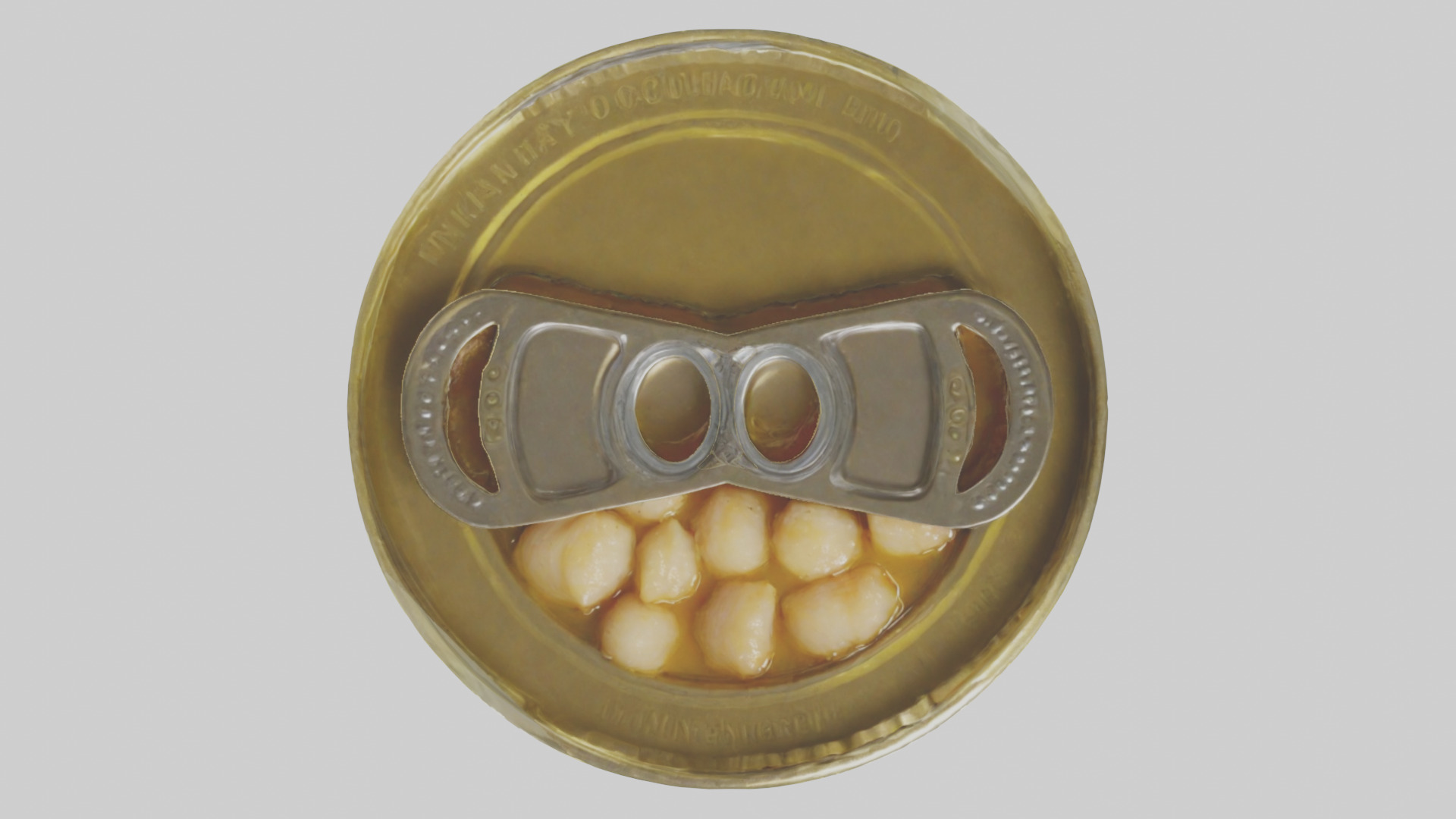 Canned Salmon model Low-poly 3D model_62