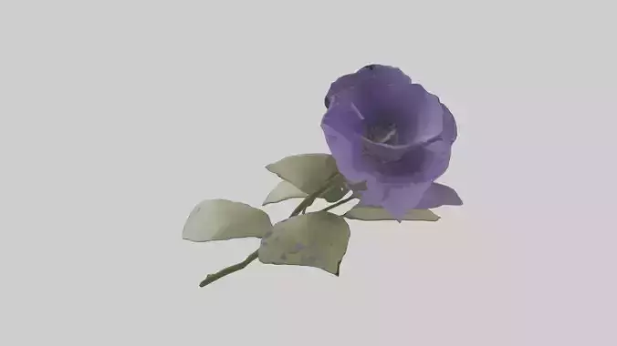Canterbury Bell model Low-poly 3D model