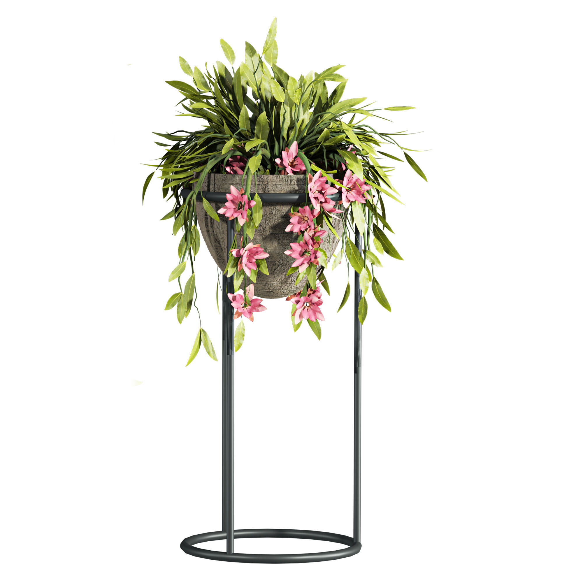 Plants Set 3D model_2