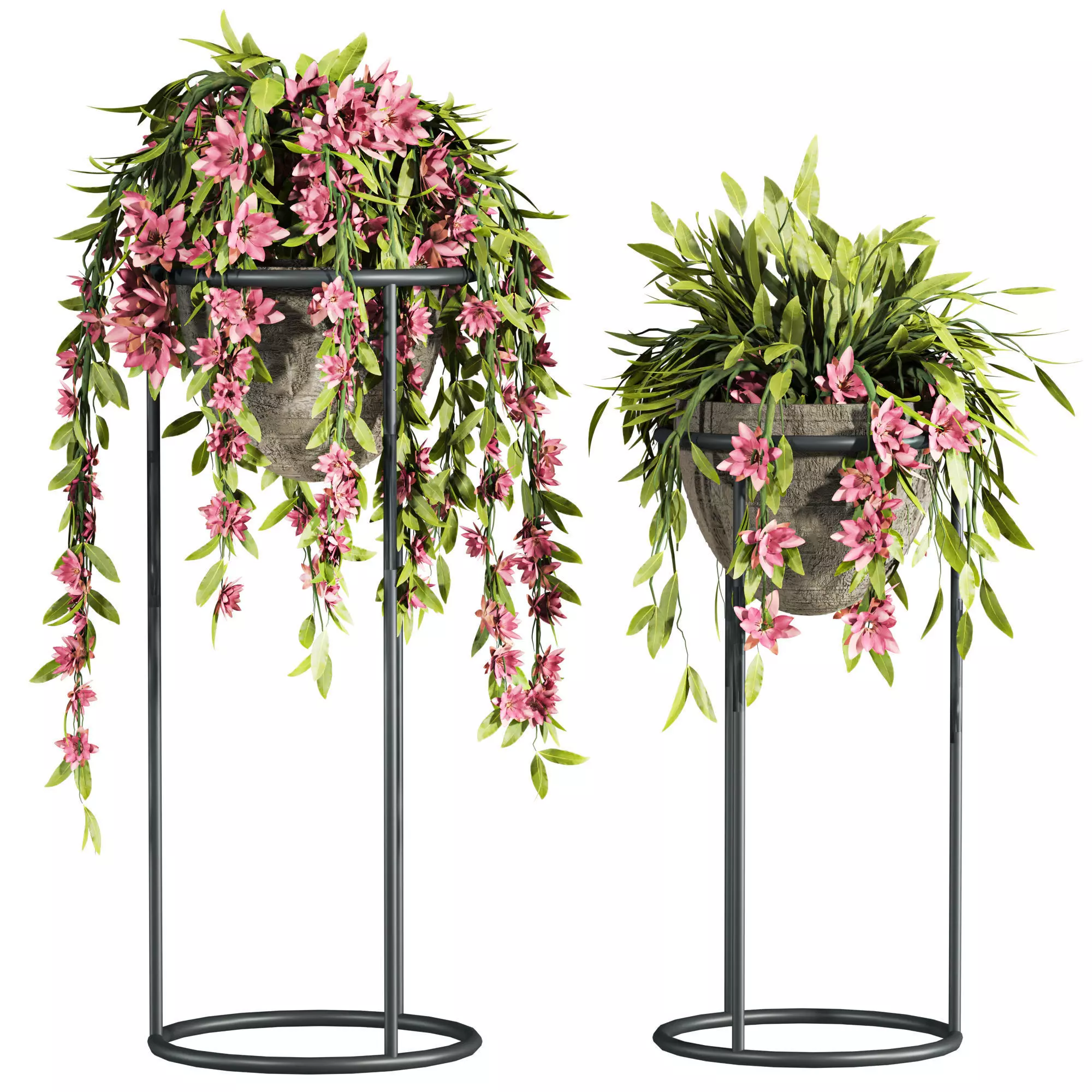 Plants Set 3D model_0