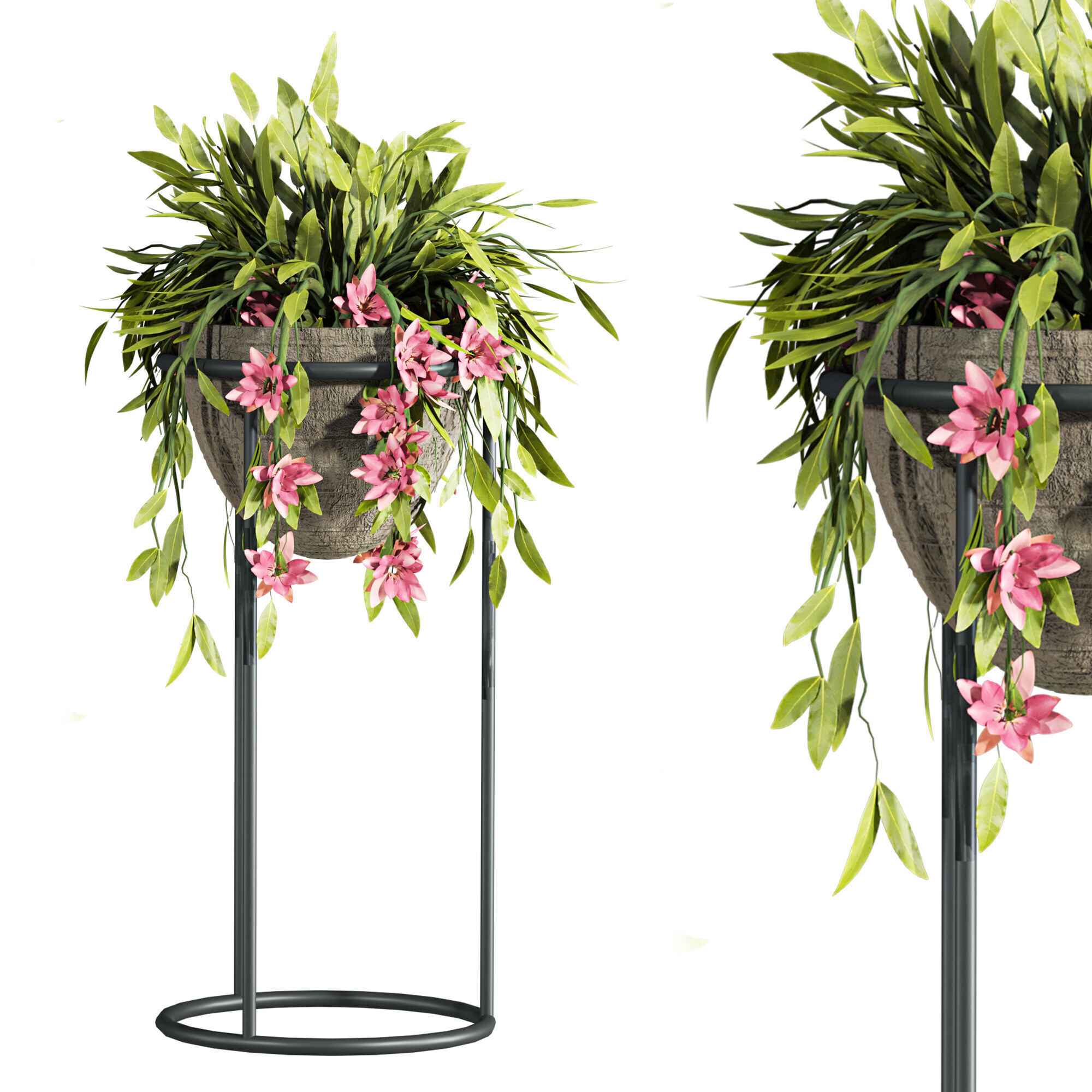 Plants Set 3D model_3