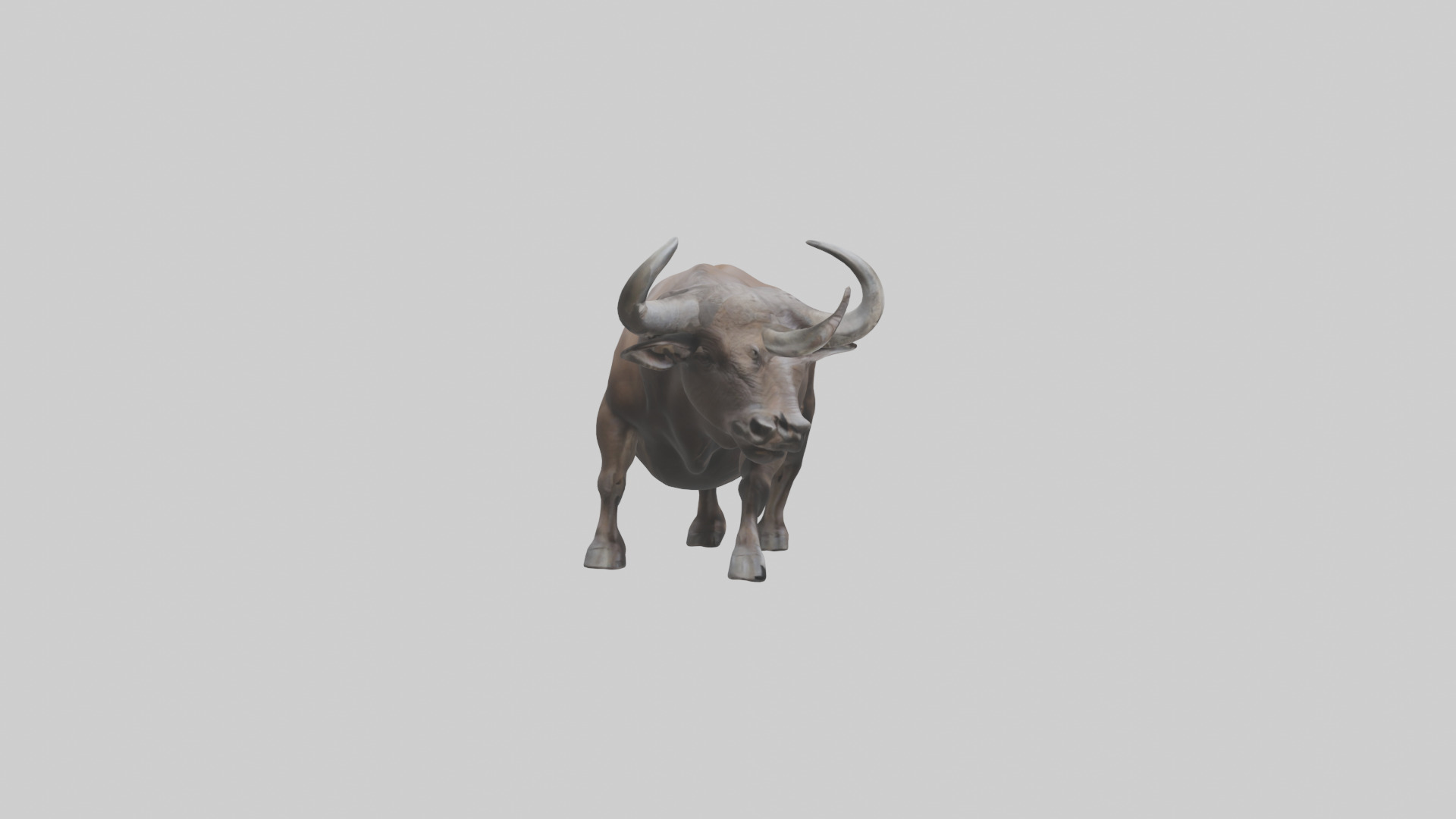 Cape Buffalo charging model Low-poly 3D model_23