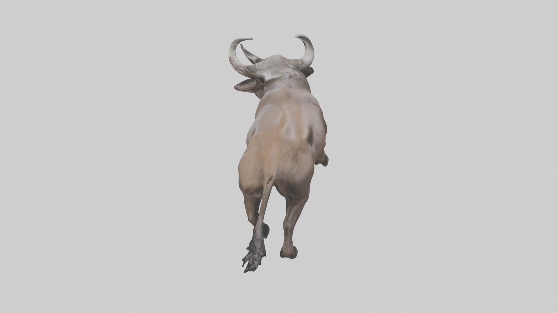 Cape Buffalo charging model Low-poly 3D model_27