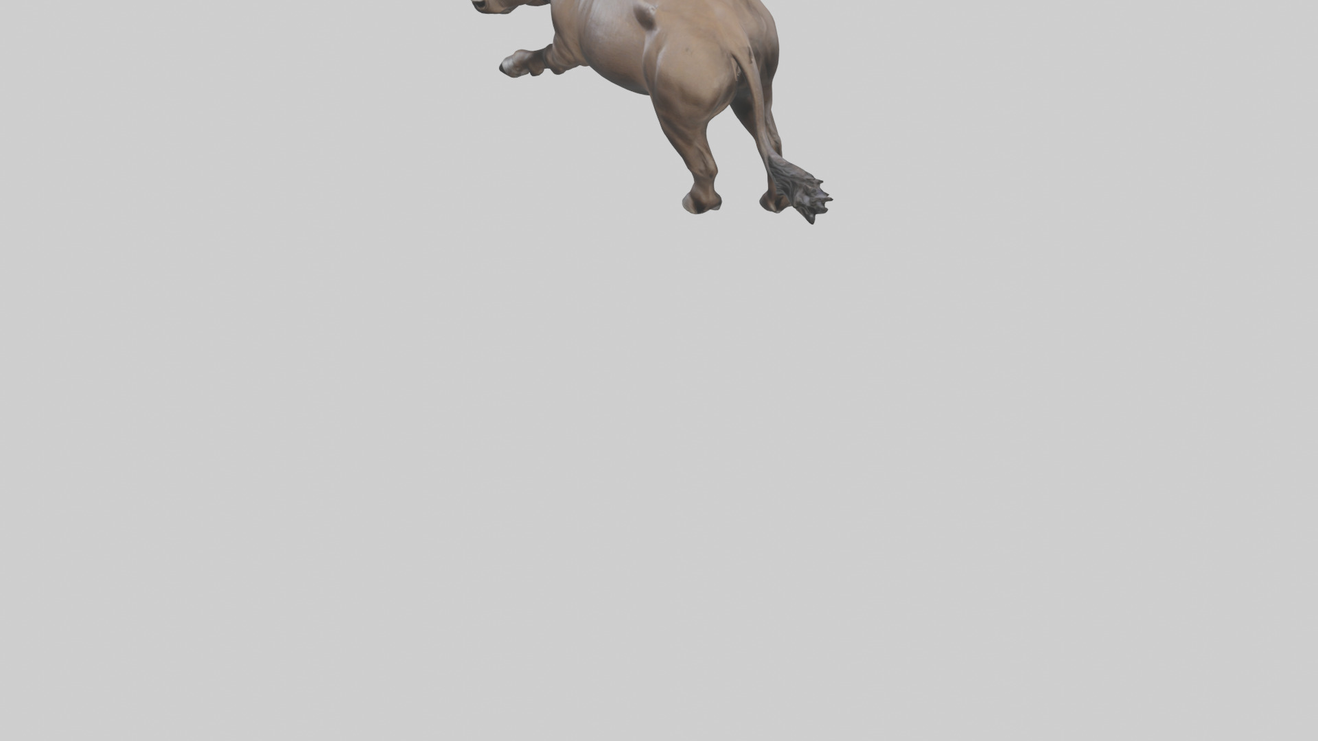 Cape Buffalo charging model Low-poly 3D model_5