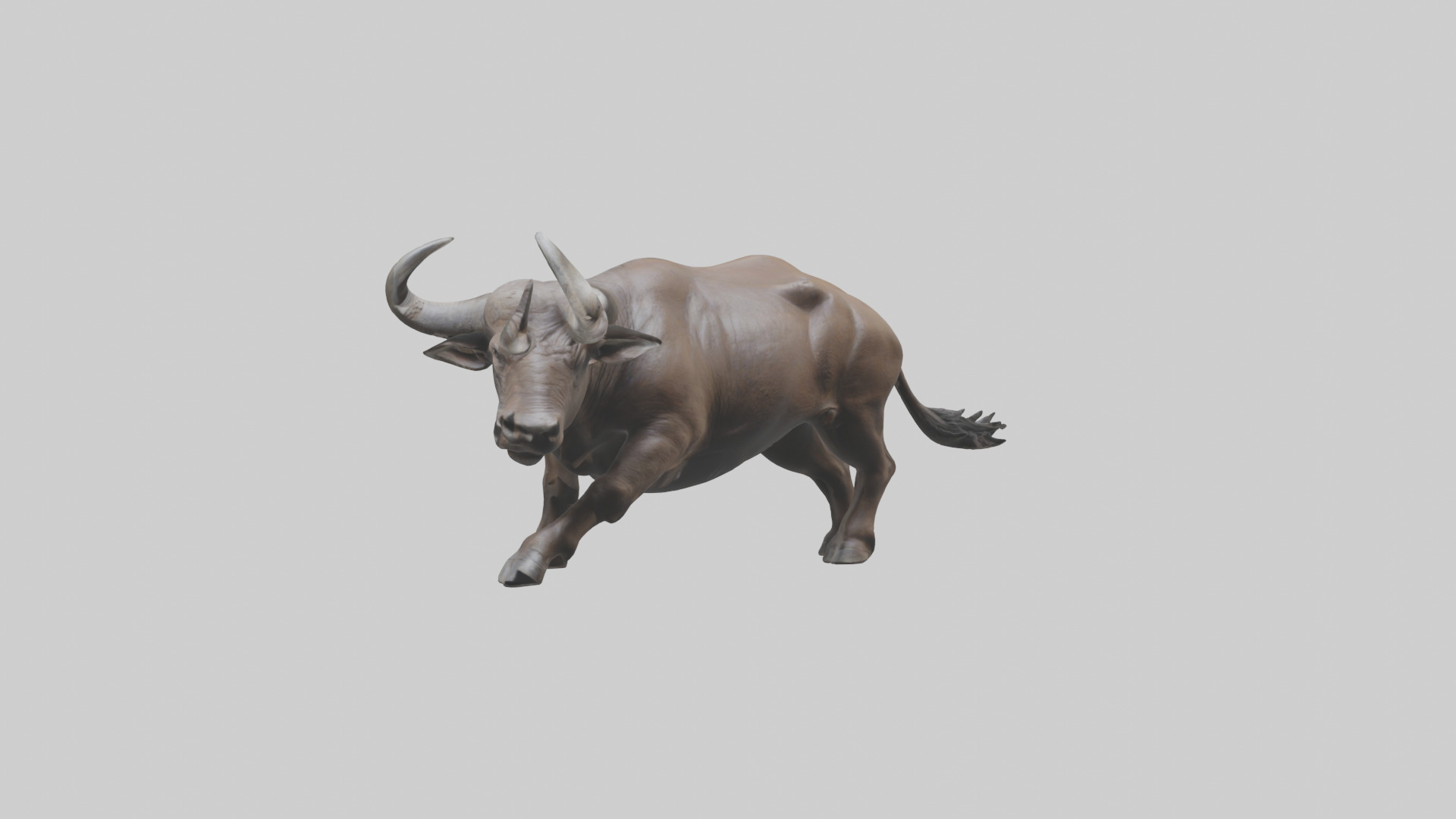 Cape Buffalo charging model Low-poly 3D model_7