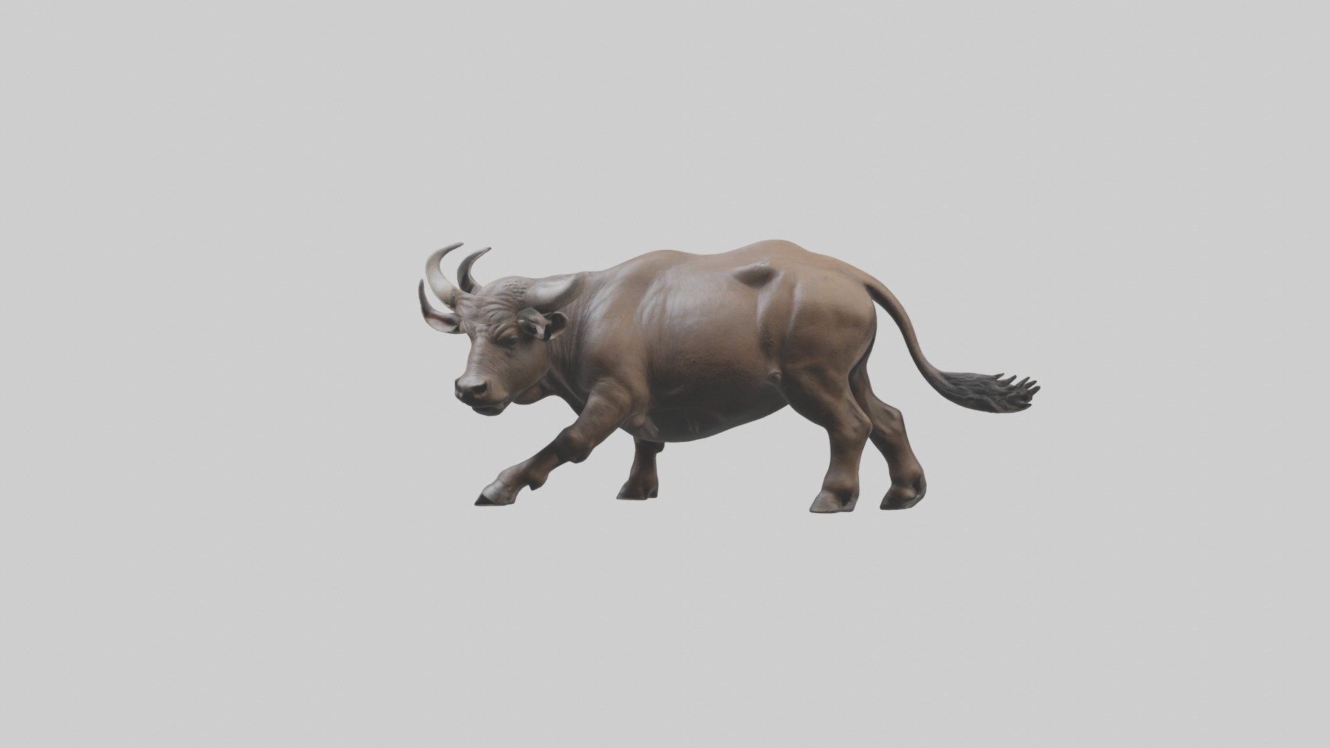 Cape Buffalo charging model Low-poly 3D model_13