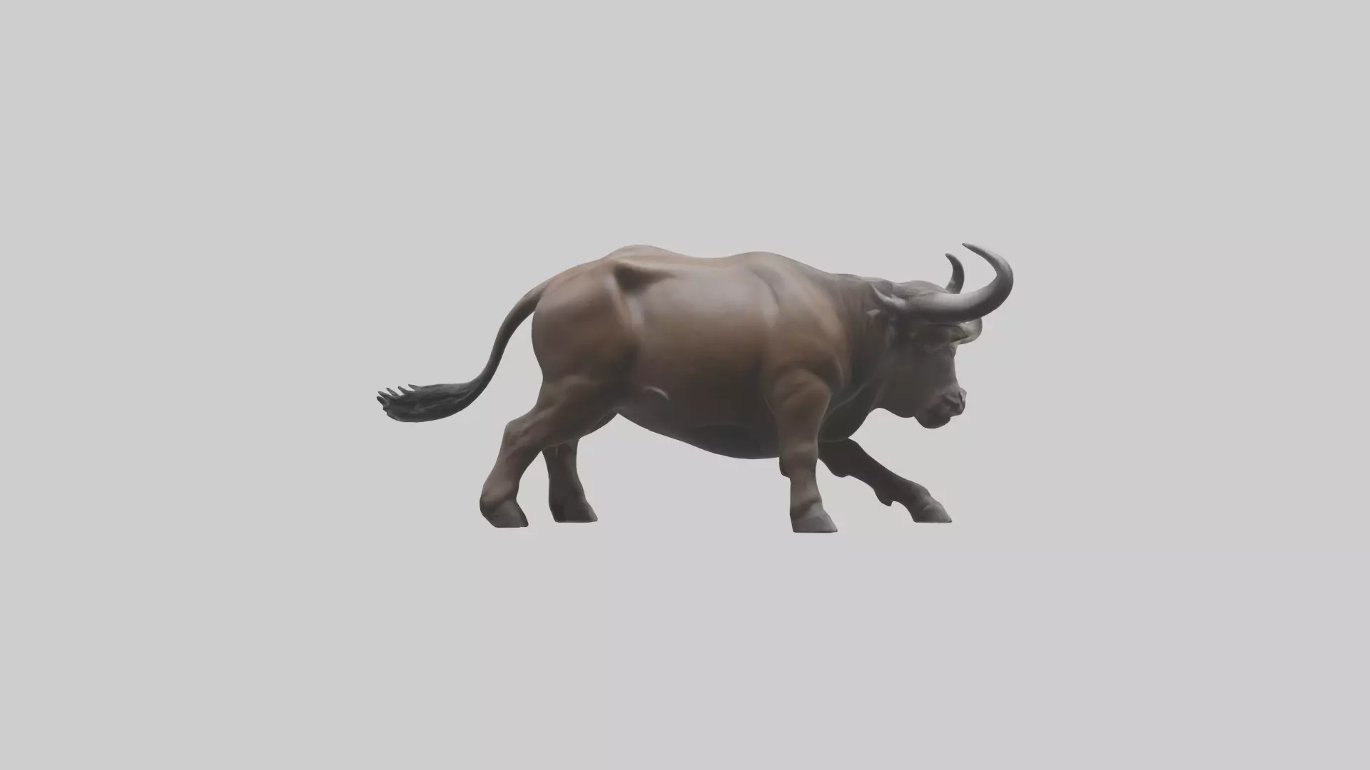 Cape Buffalo charging model Low-poly 3D model_0