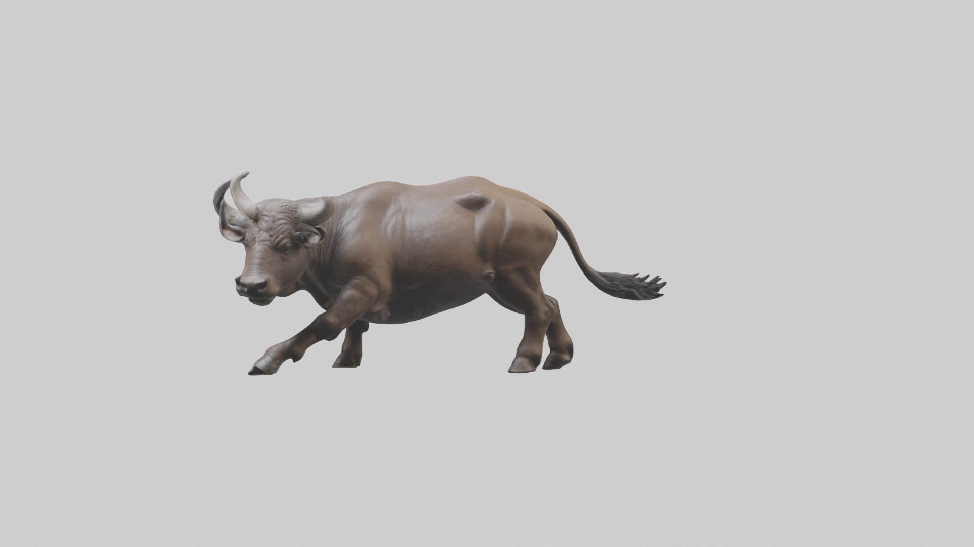 Cape Buffalo charging model Low-poly 3D model_18
