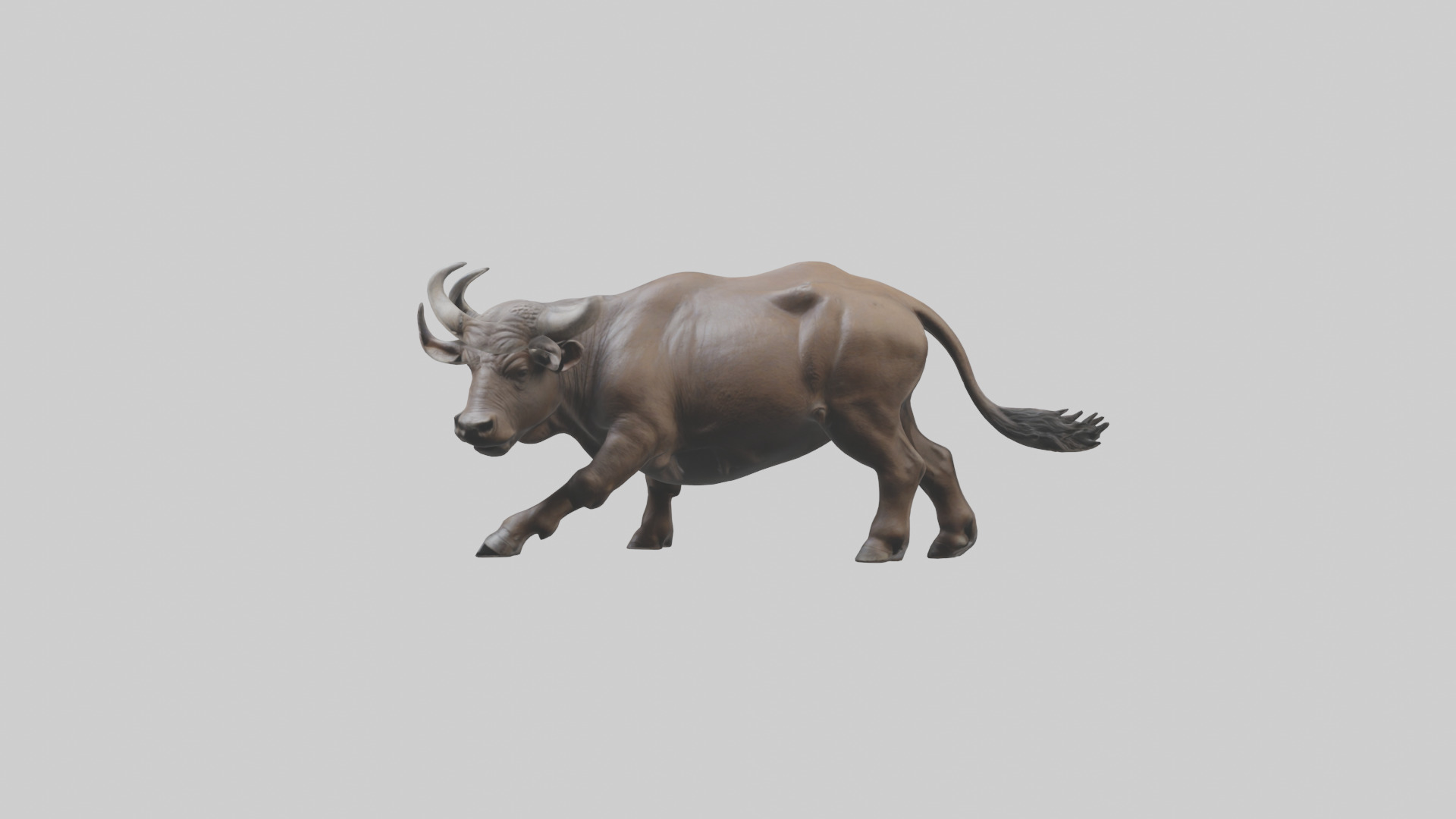 Cape Buffalo charging model Low-poly 3D model_12