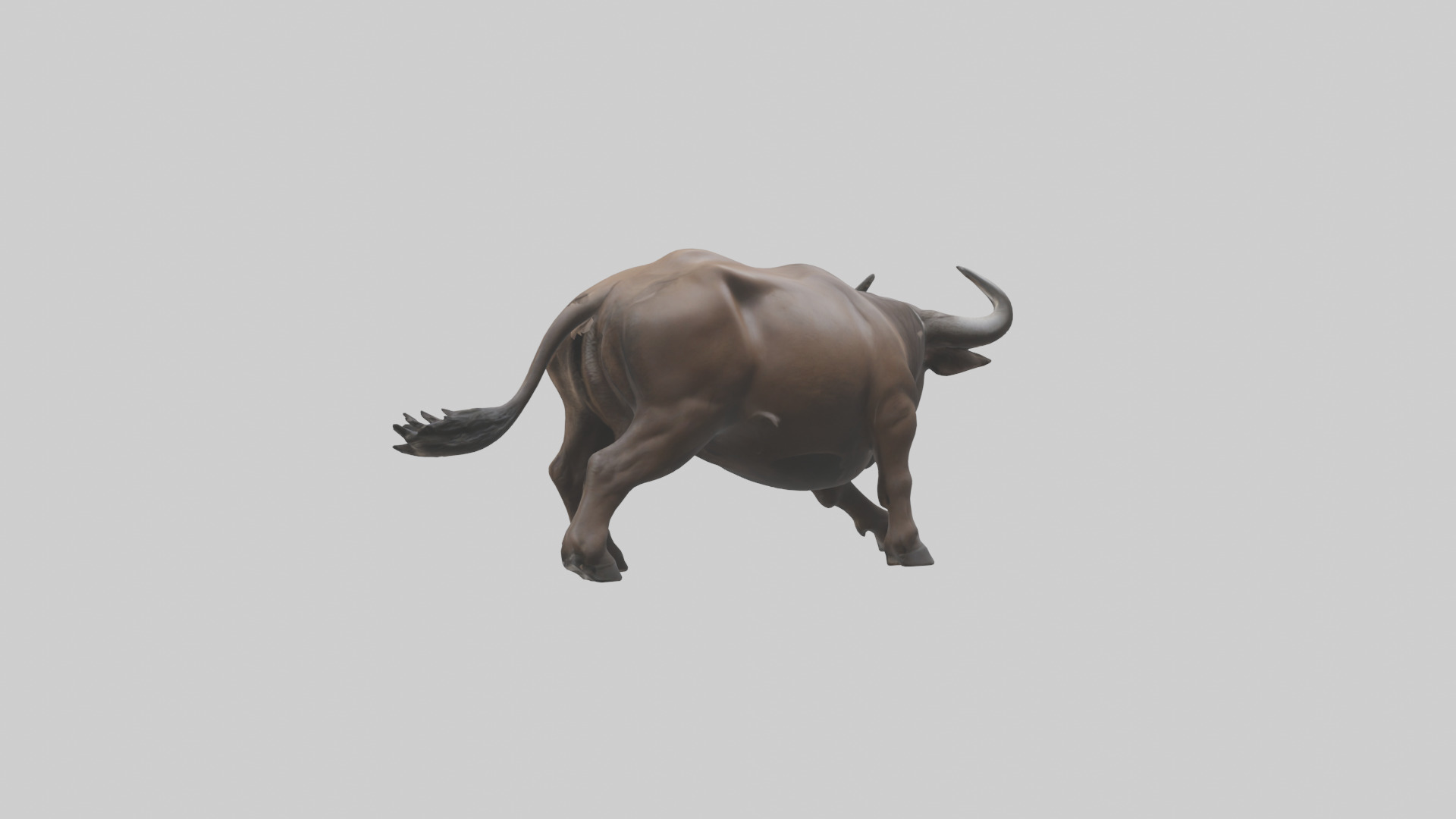 Cape Buffalo charging model Low-poly 3D model_1
