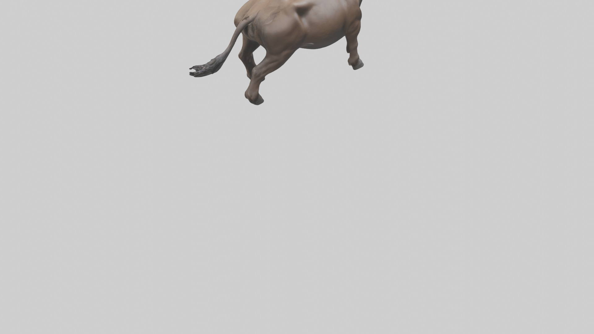 Cape Buffalo charging model Low-poly 3D model_3