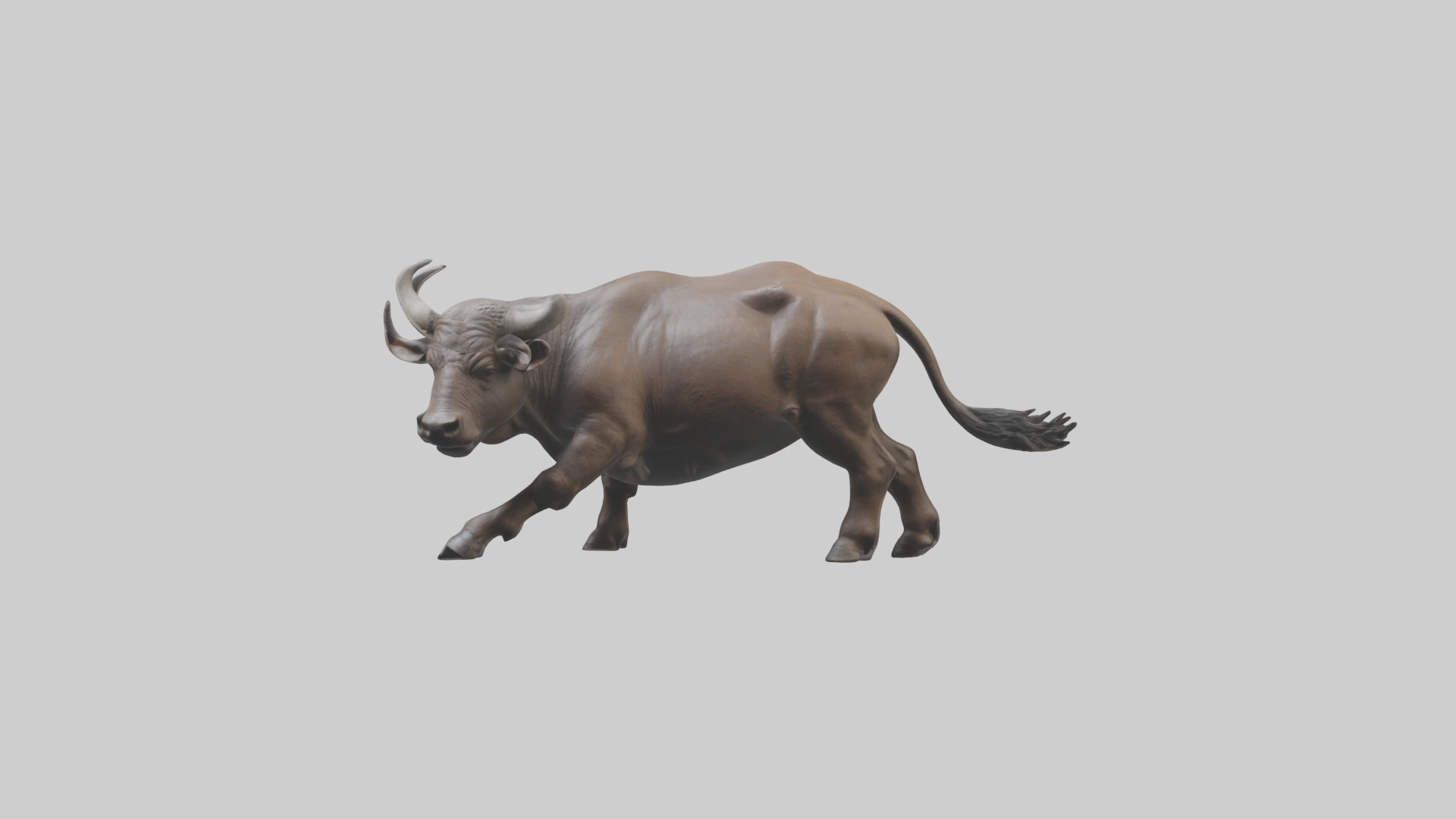 Cape Buffalo charging model Low-poly 3D model_9