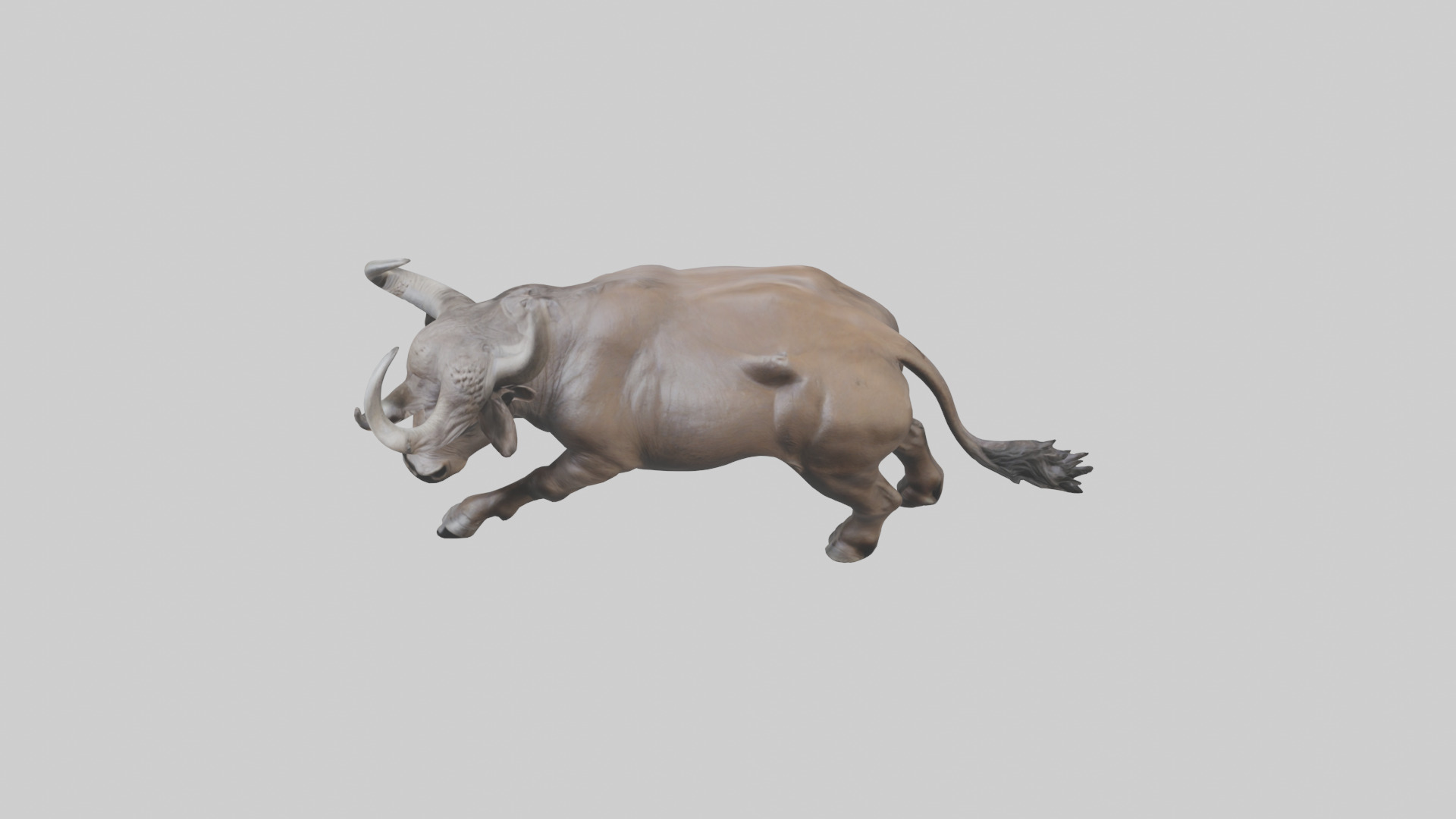 Cape Buffalo charging model Low-poly 3D model_26