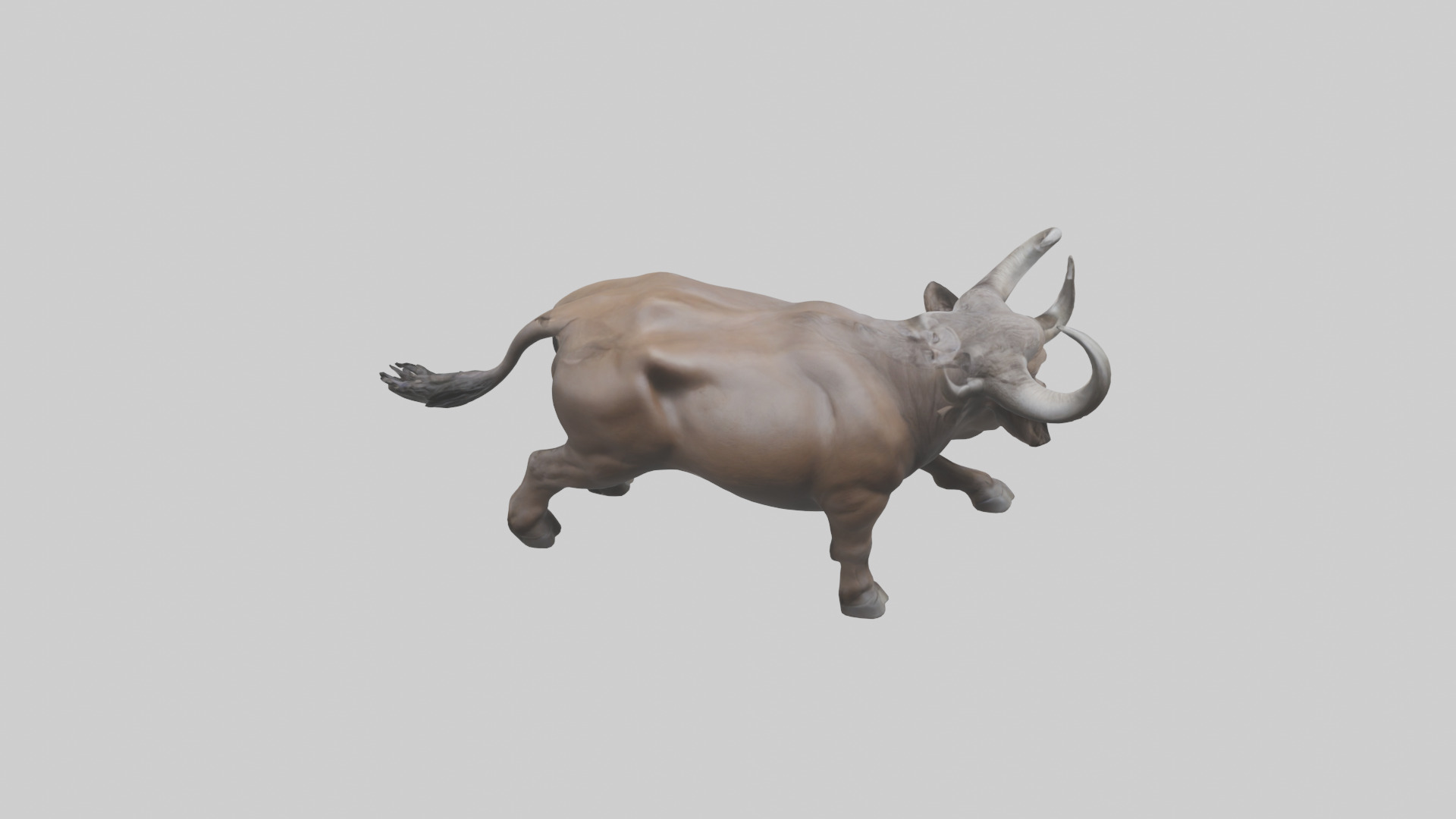 Cape Buffalo charging model Low-poly 3D model_25