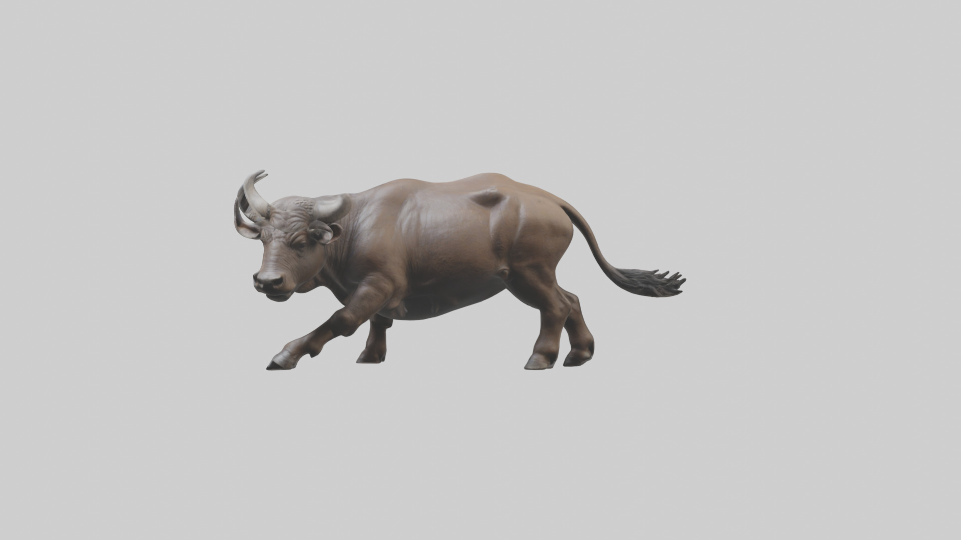 Cape Buffalo charging model Low-poly 3D model_17