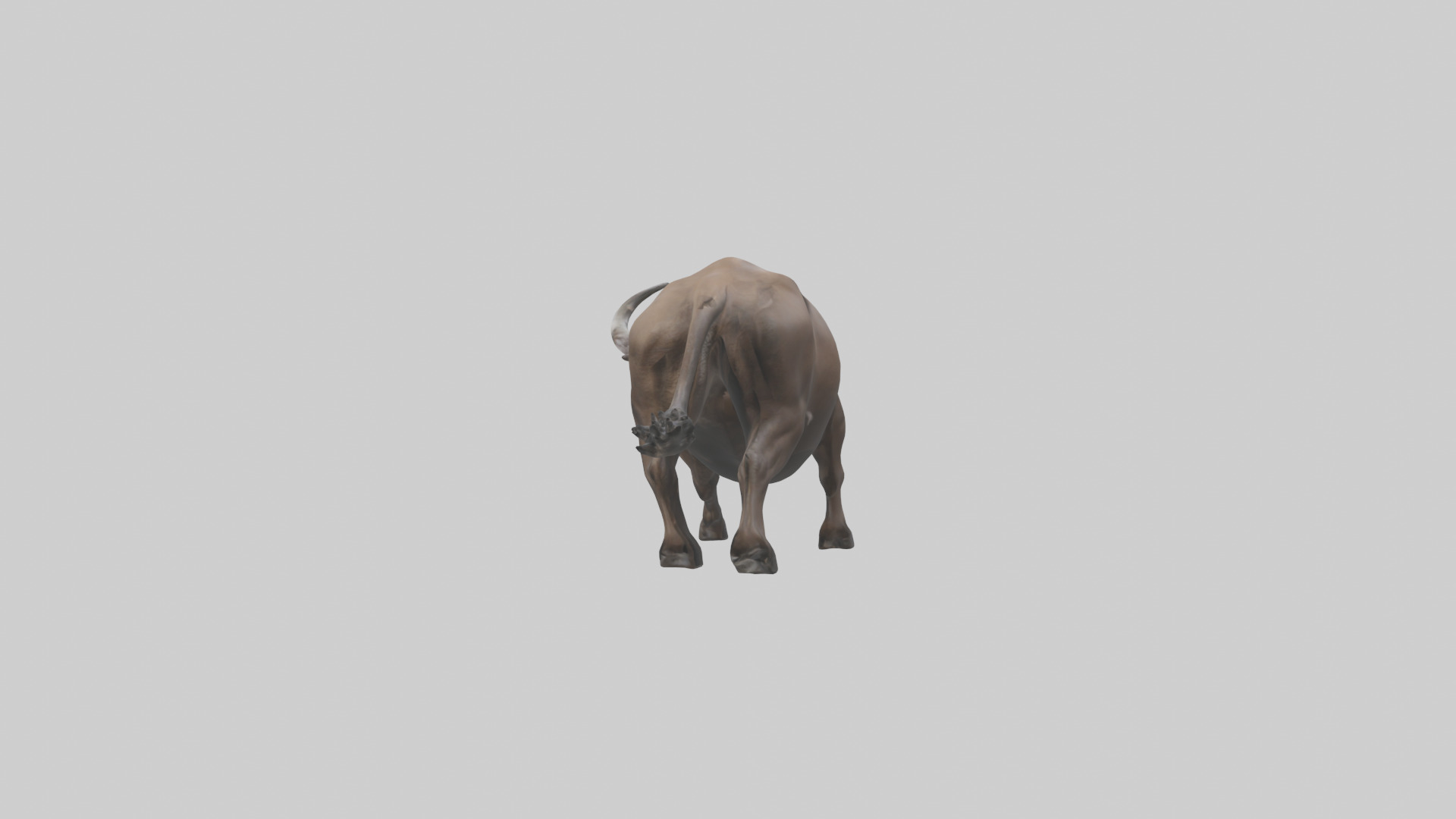 Cape Buffalo charging model Low-poly 3D model_22