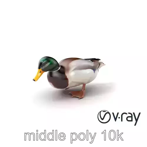 Mallard Duck Realistic Pose model pack Low-poly 3D model