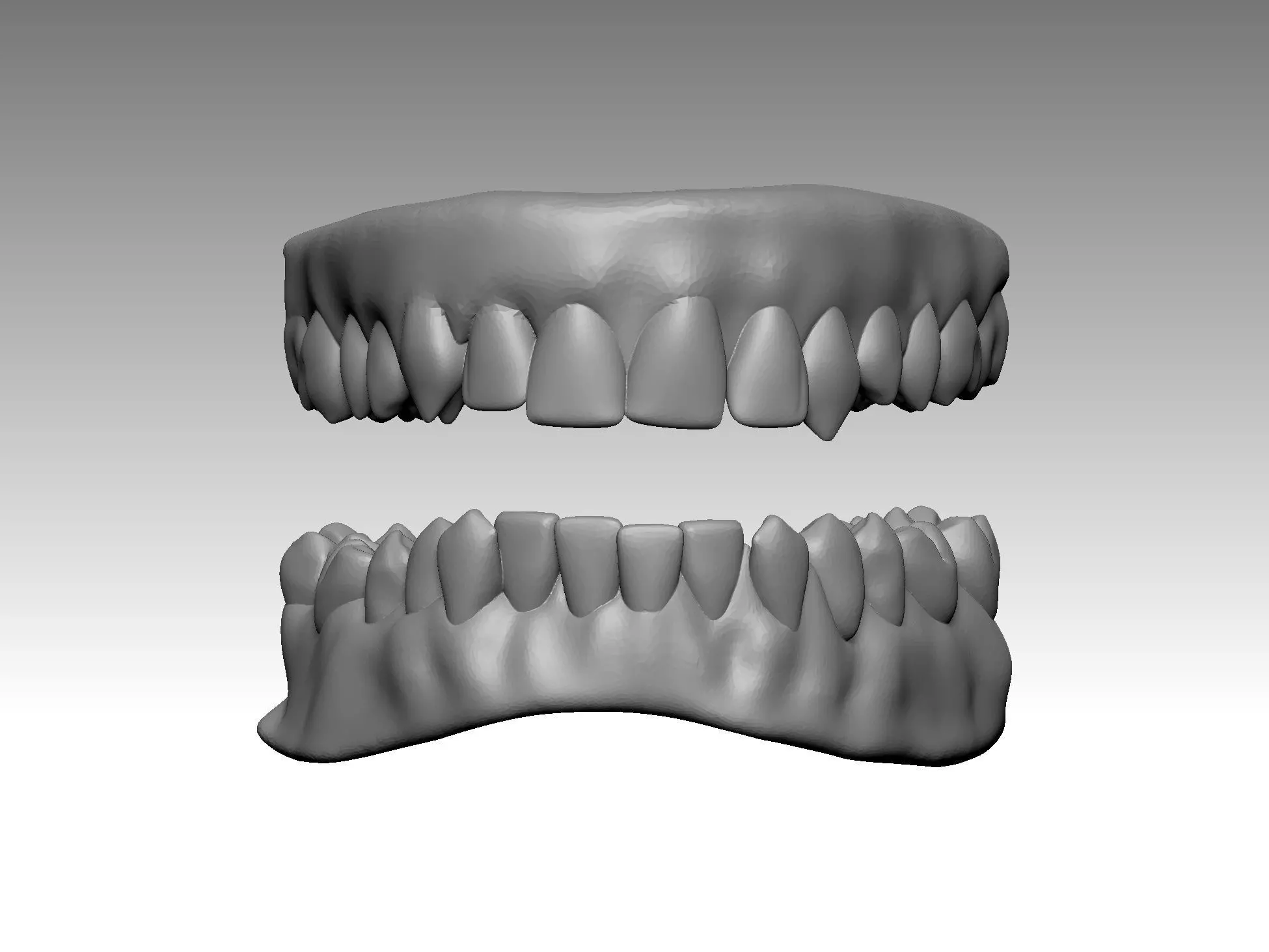 teeth jaw human 3D print model
