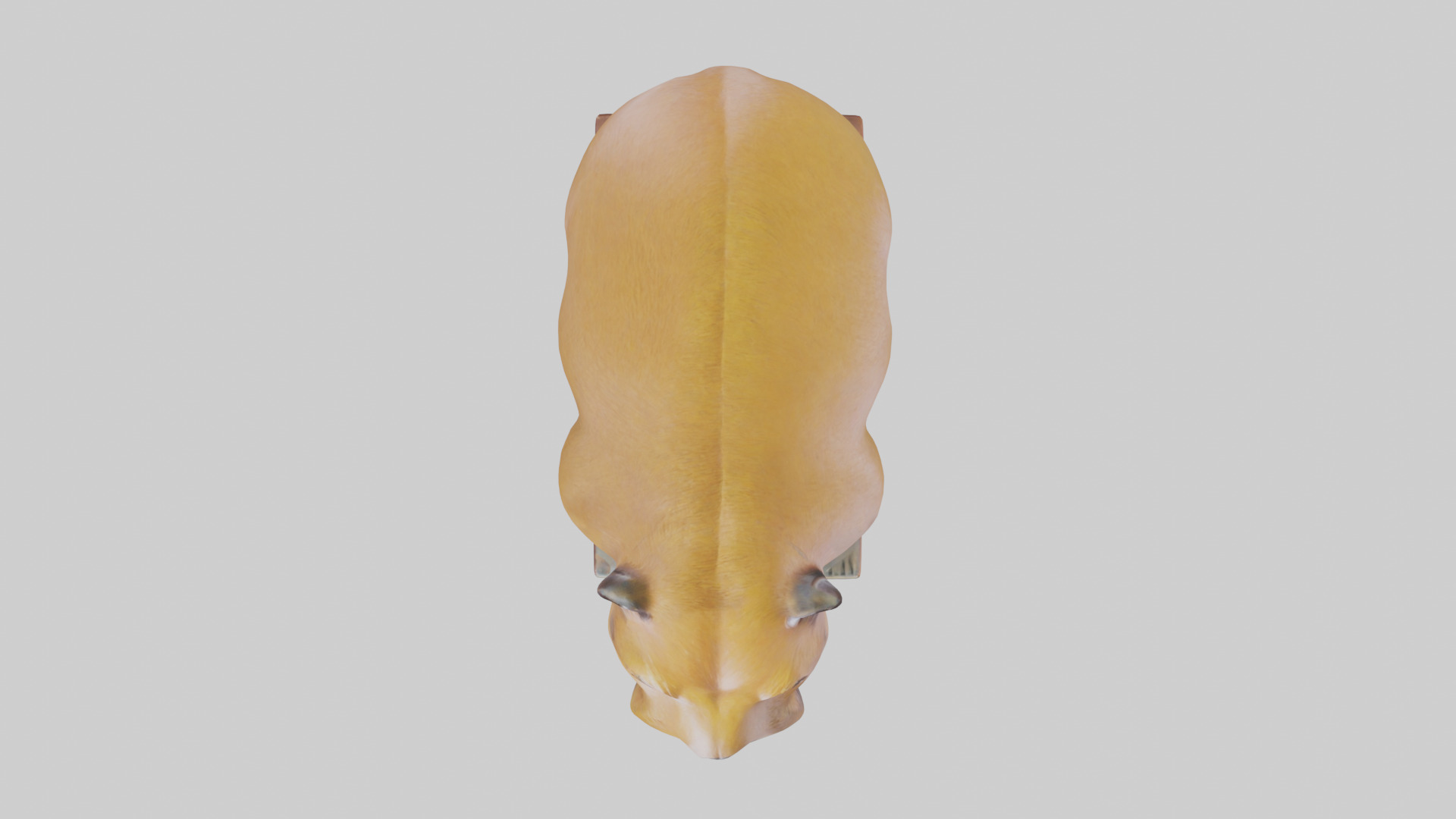 Capybara statue model Low-poly 3D model_24