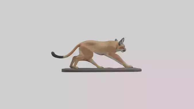 Caracal hunting model