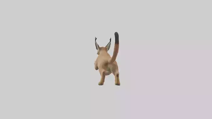 Caracal leaping model Low-poly 3D model