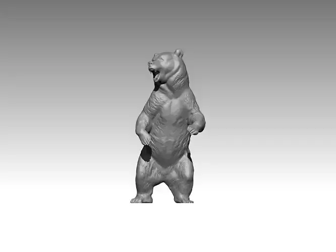 bear statue animal