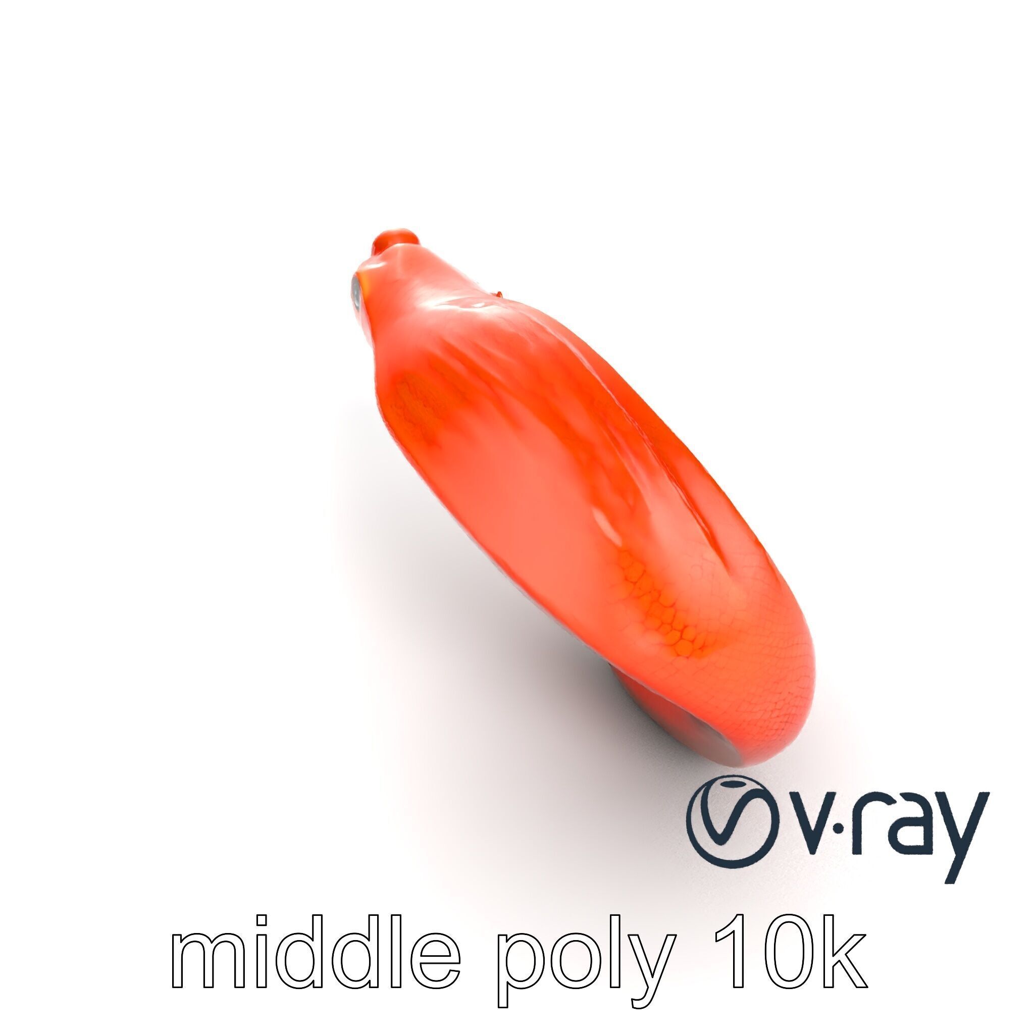 Fiery Salamander Volcanic Creature model pack Low-poly 3D model_12