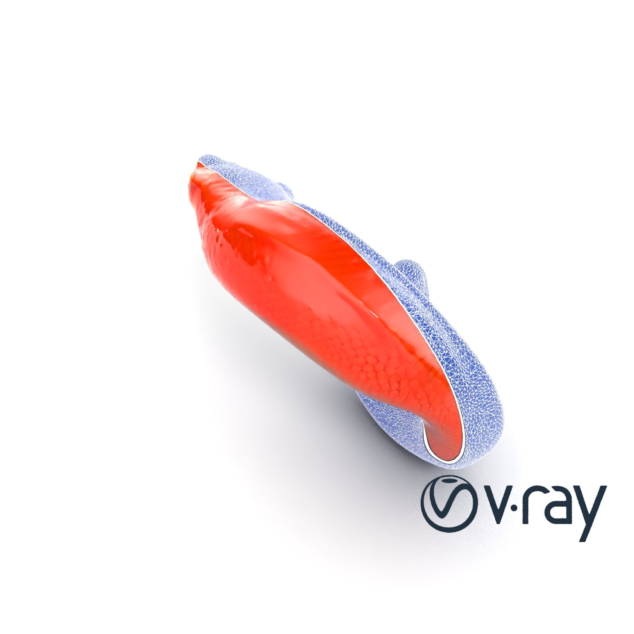 Fiery Salamander Volcanic Creature model pack Low-poly 3D model_22