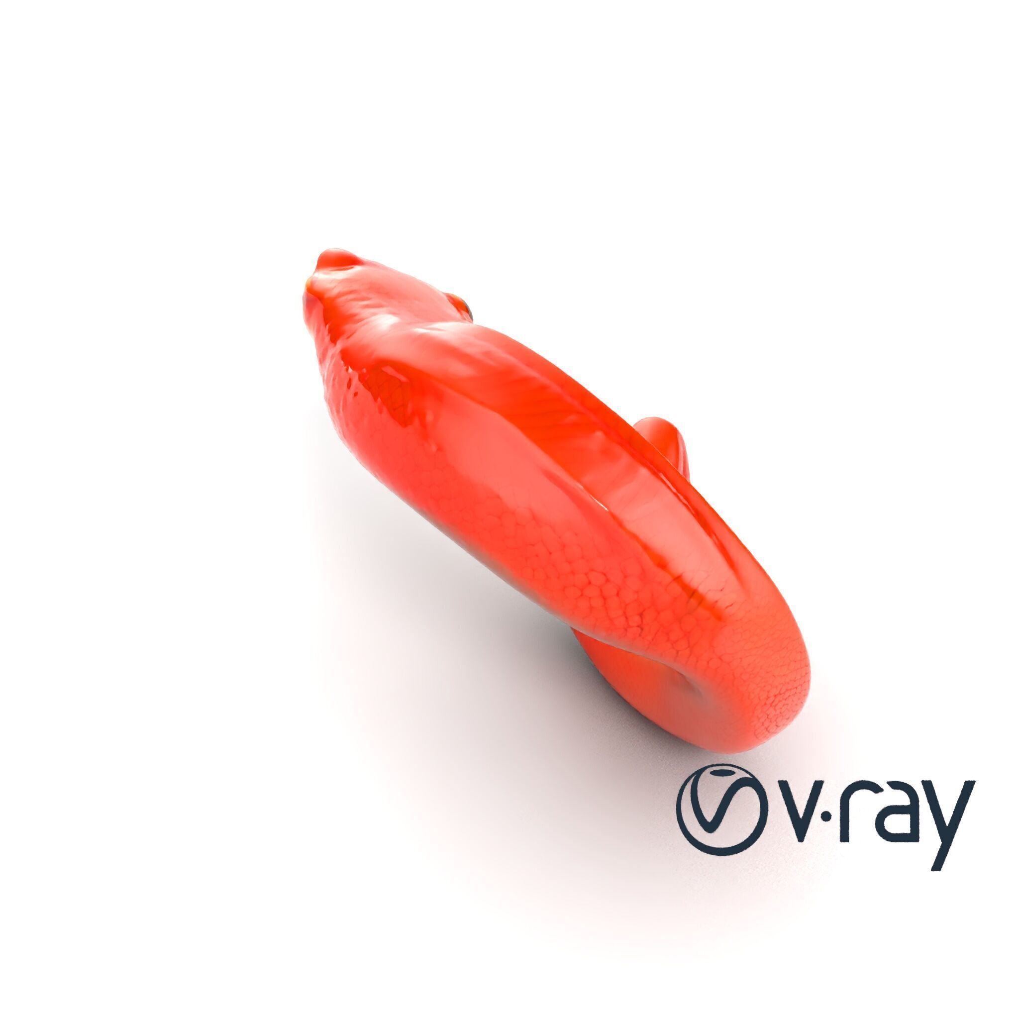 Fiery Salamander Volcanic Creature model pack Low-poly 3D model_29