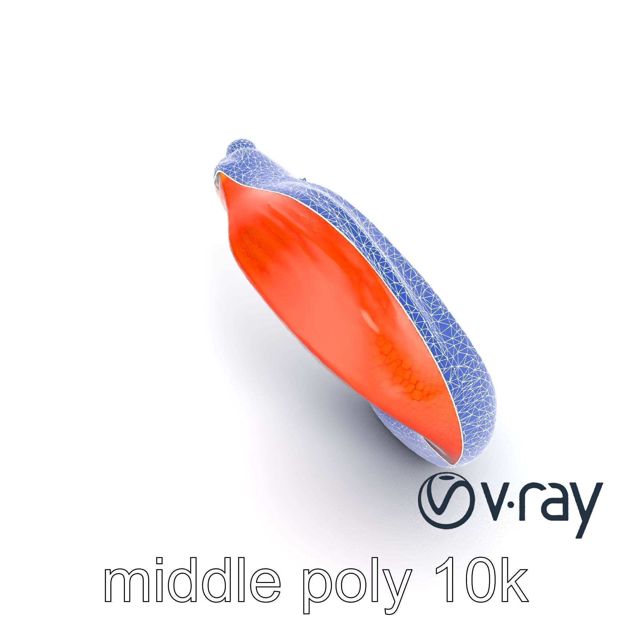 Fiery Salamander Volcanic Creature model pack Low-poly 3D model_14