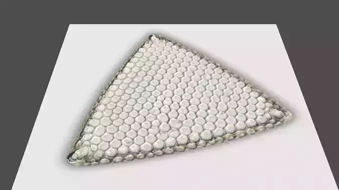 Triangle Diatom 3D model
