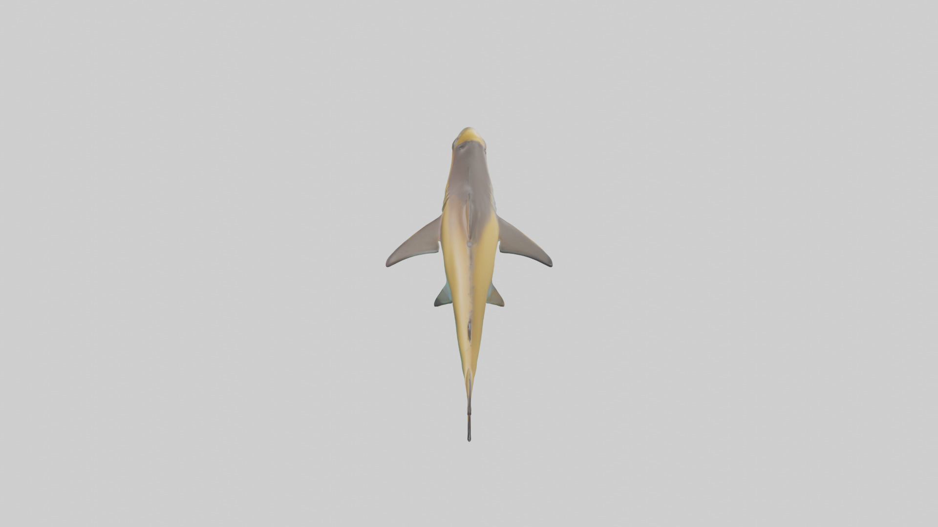 Caribbean Reef Shark swimming model Low-poly 3D model_25