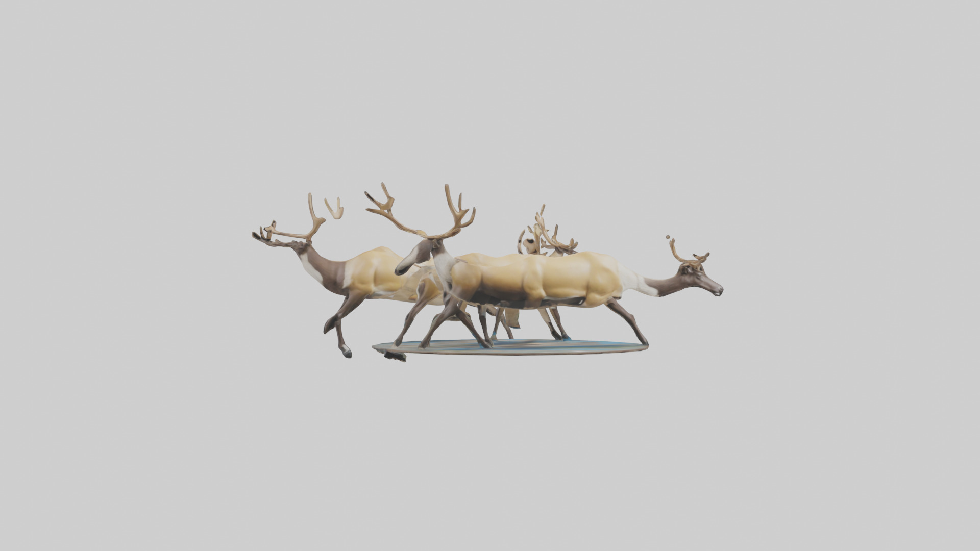 Caribou migrating model Low-poly 3D model_10